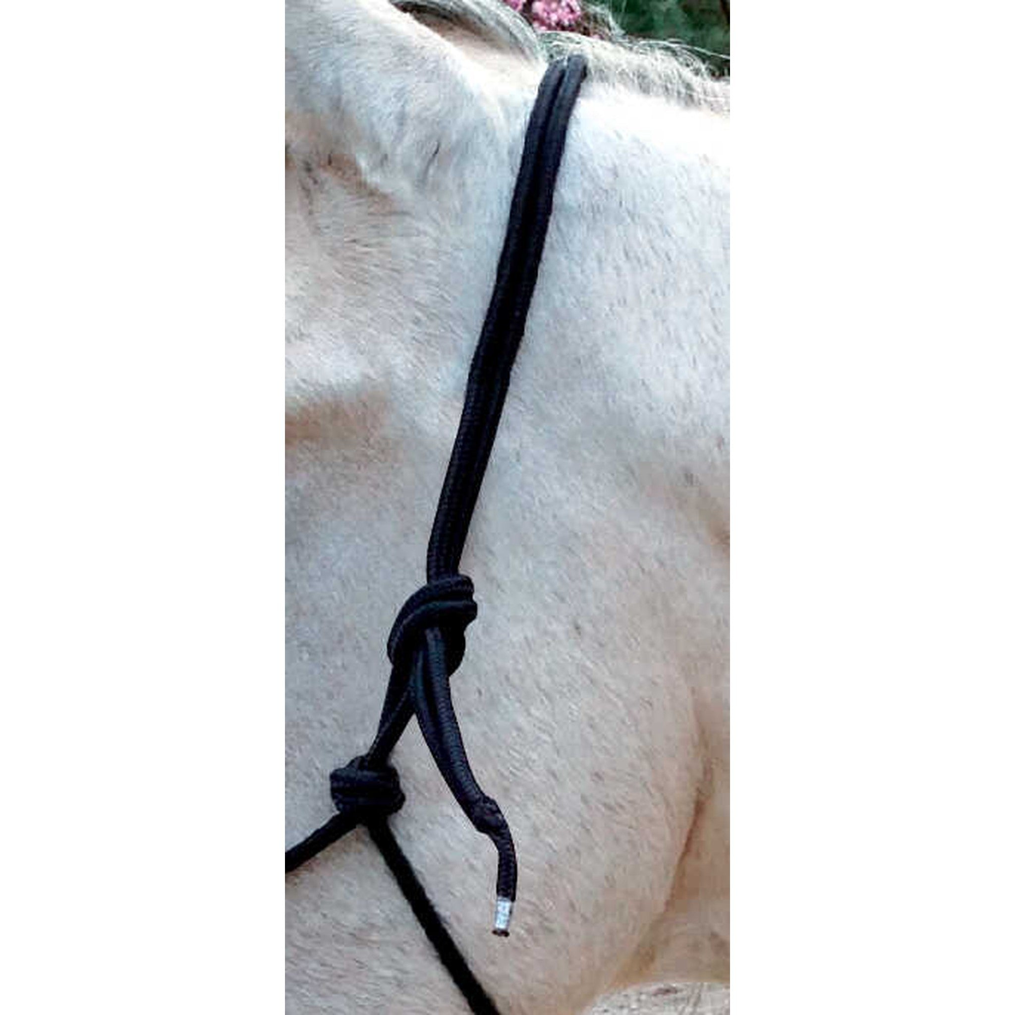 Norton Ethological halter with reins Black 510155002