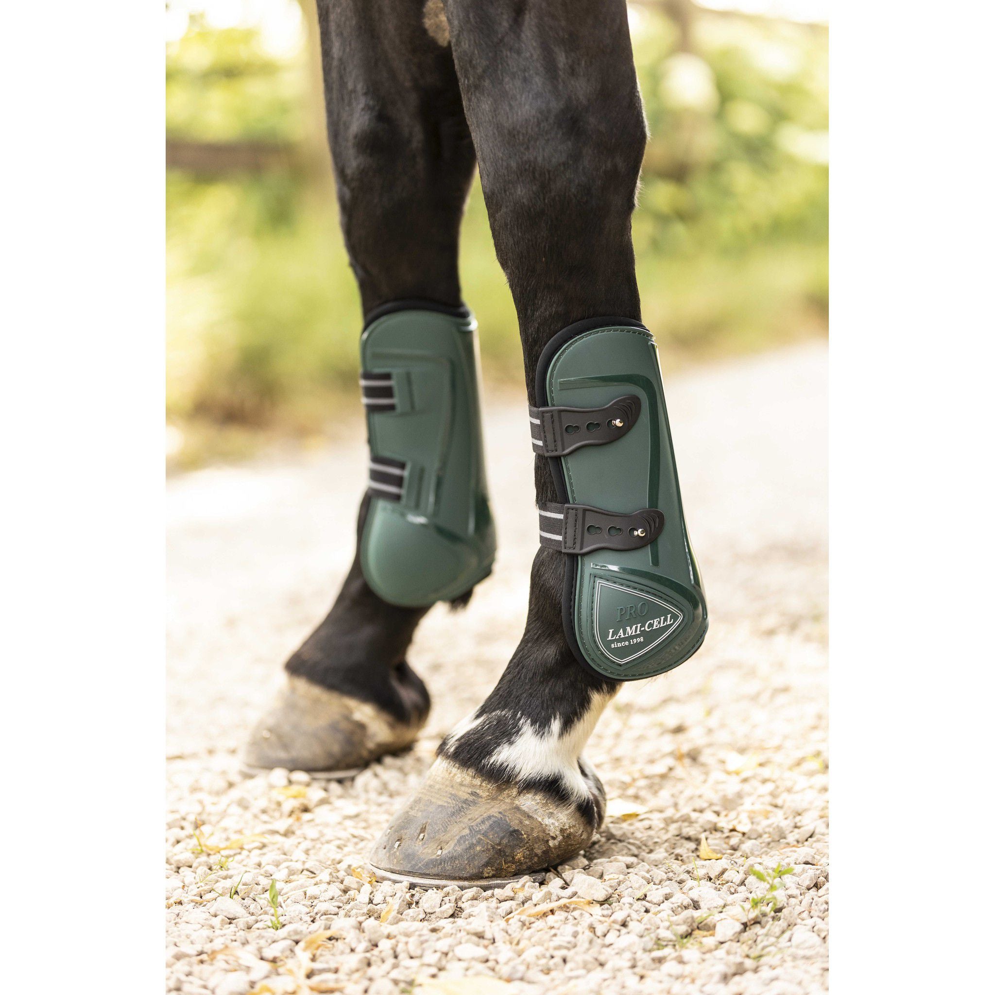 Lami-Cell Elite Fetlock and Tendon Boots Dark green 550141309