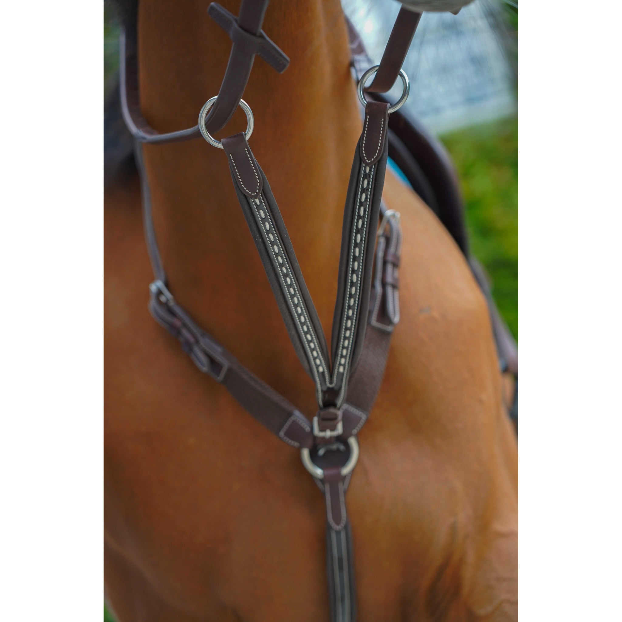 Pénélope Point Sellier Martingale Attachment Havana 306153018