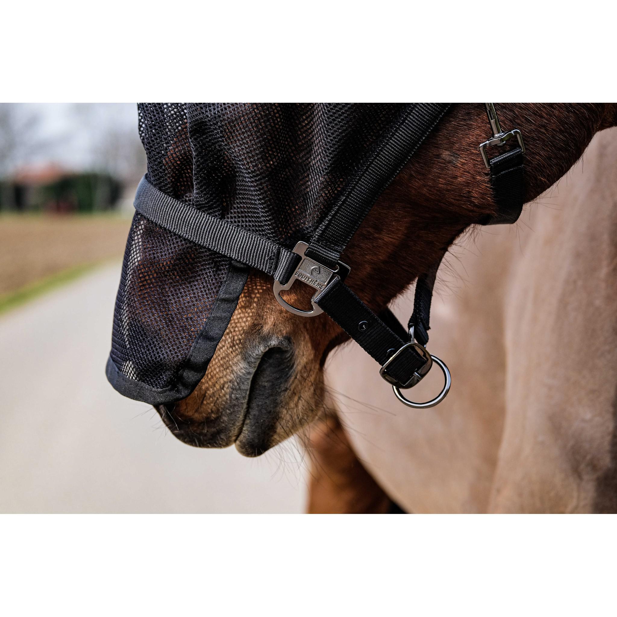 EQUITHÈME Halter + fly mask Black 510062003