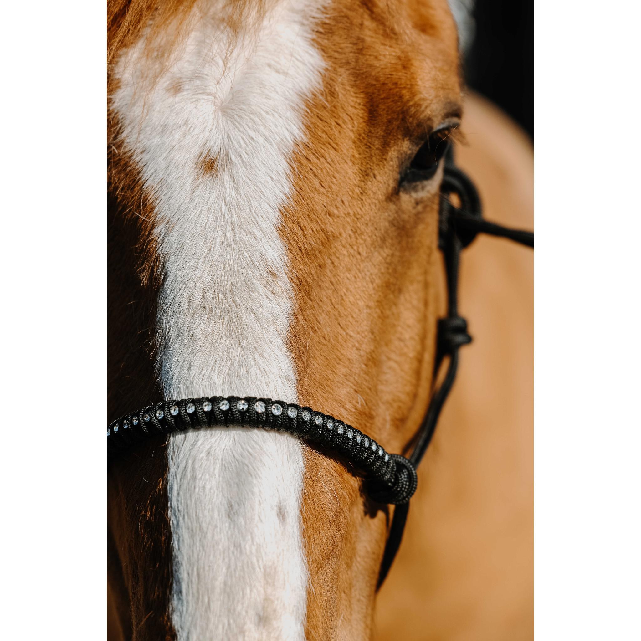 Norton Diams Ethological Halter Black 510268302