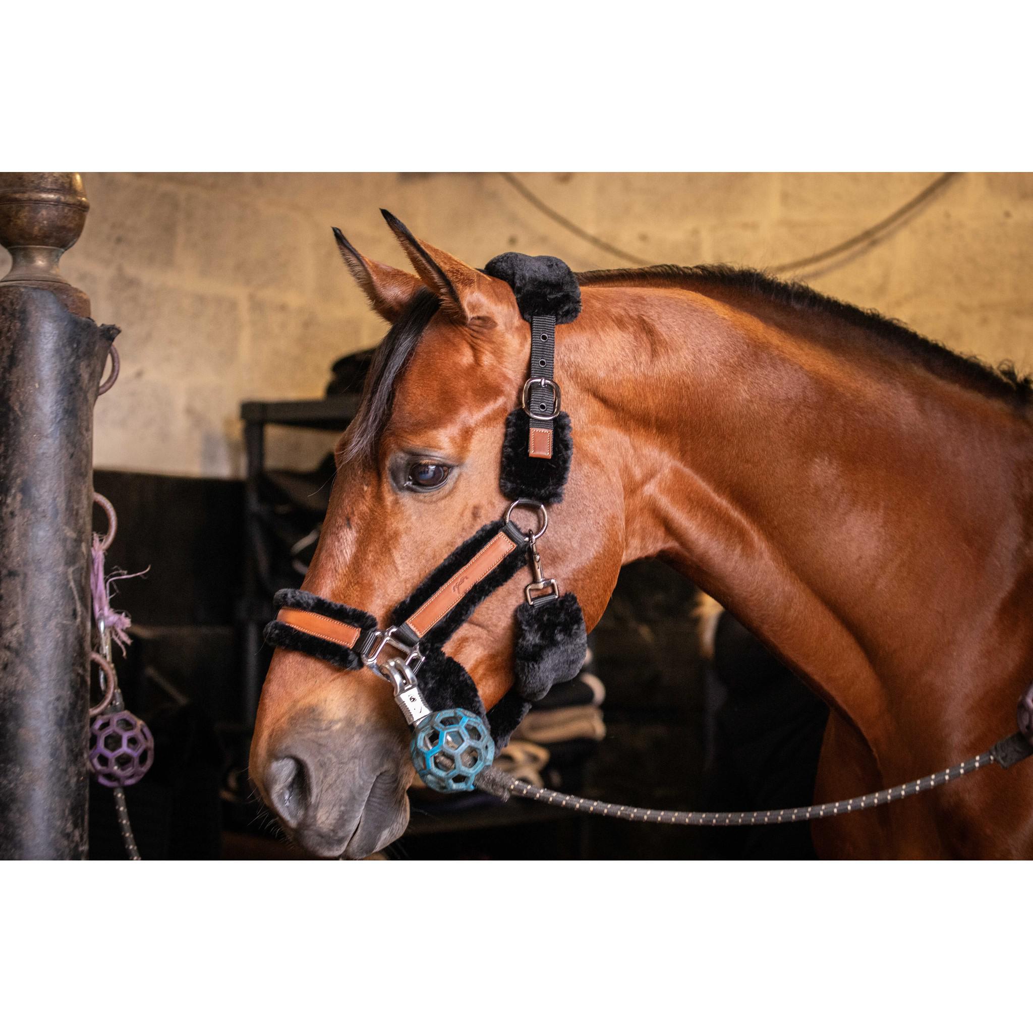 Pénélope Soft halter Black/ecru 510902325