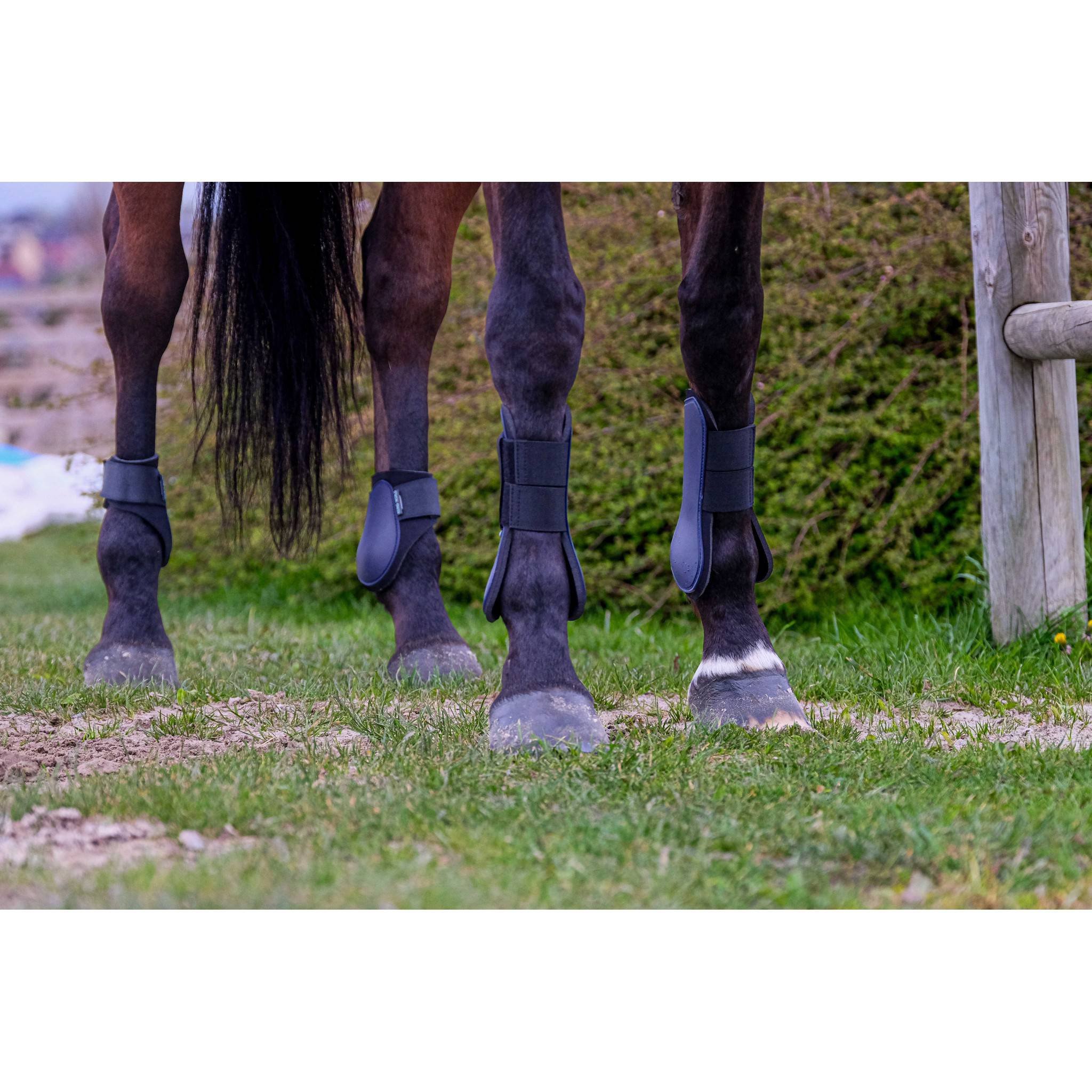 Riding World Tendon Boots Navy blue 530109007