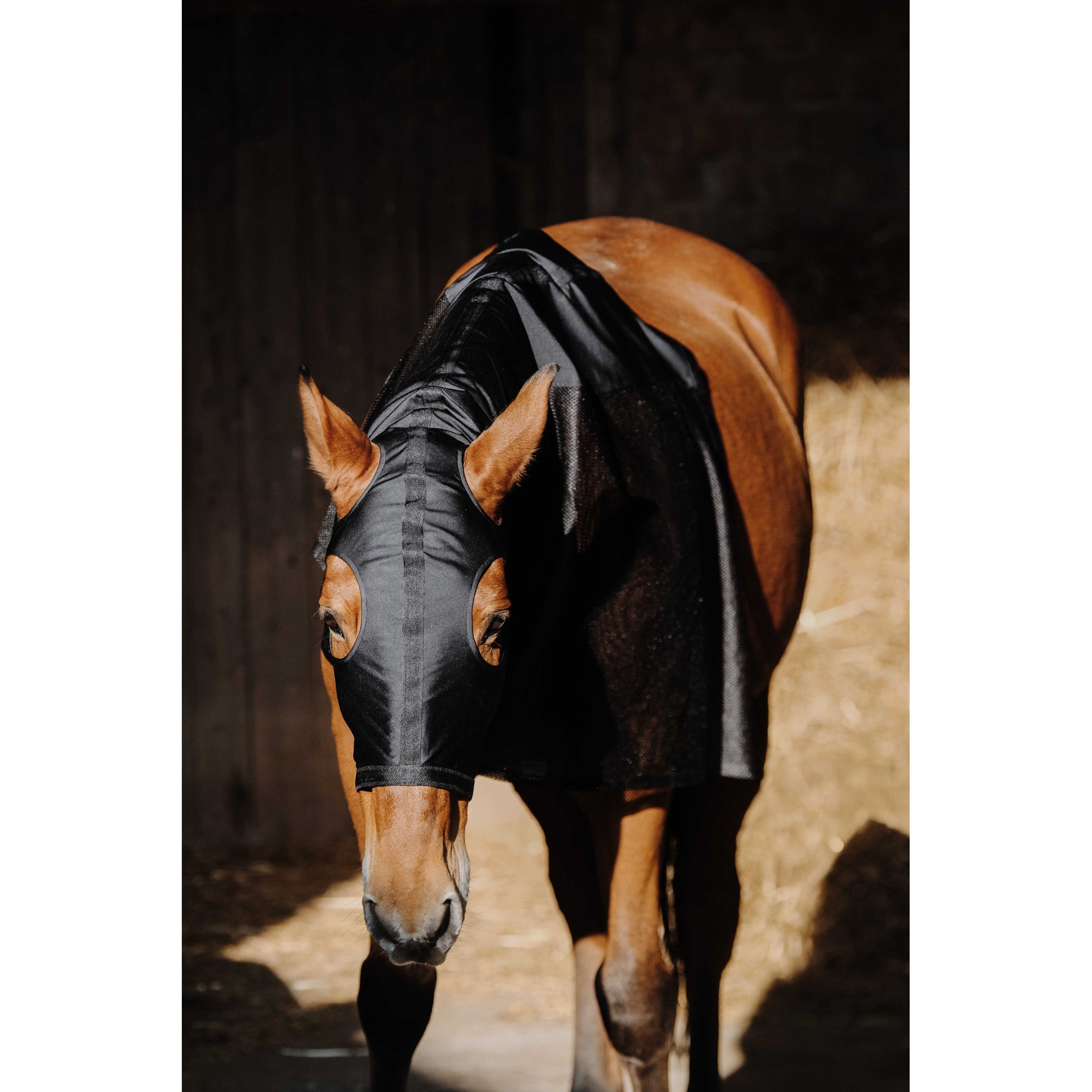 EQUITHÈME Lycra/Mesh Head and Neck Cover Black 400412202