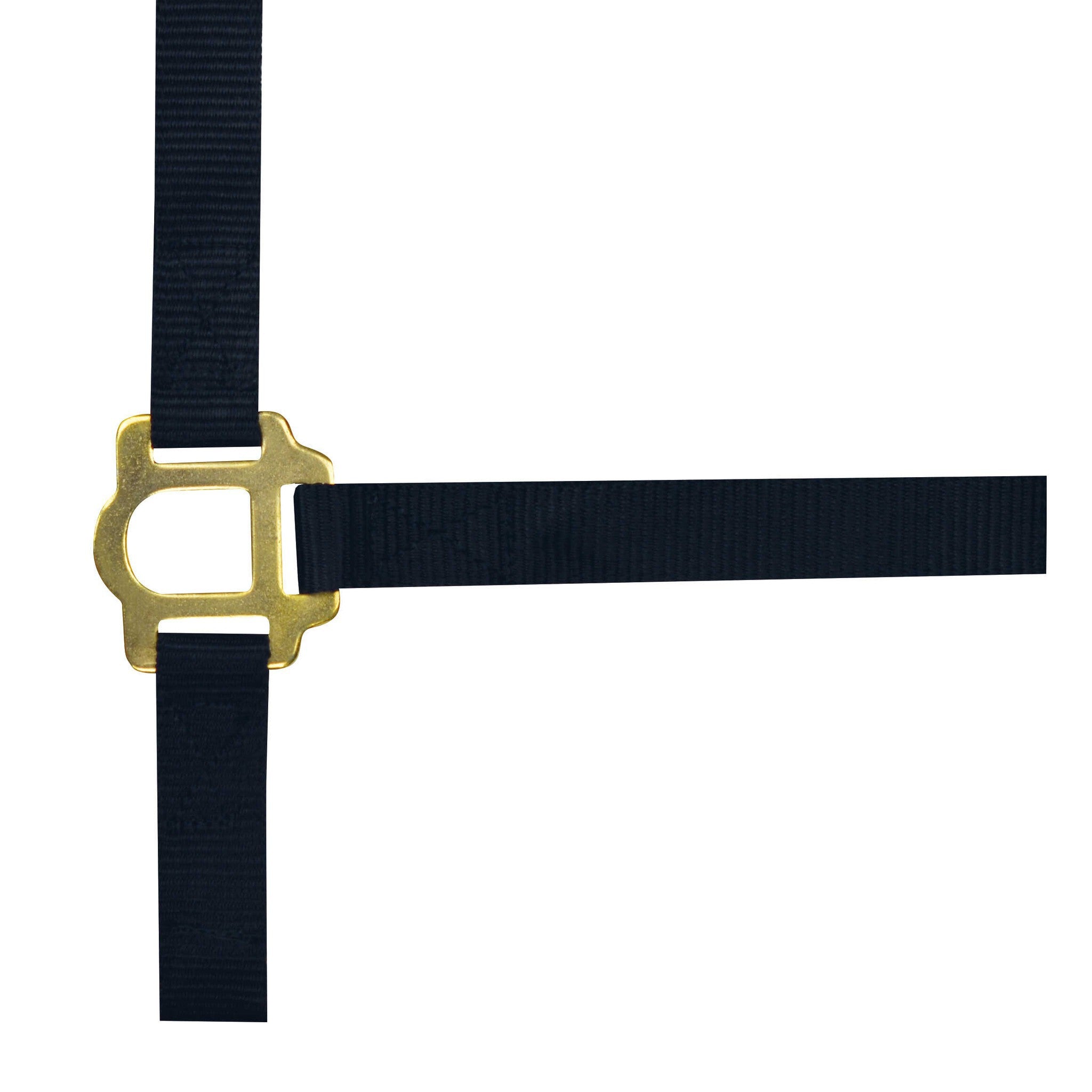 Norton Double thickness nylon headcollar with buckles Navy blue 510041007
