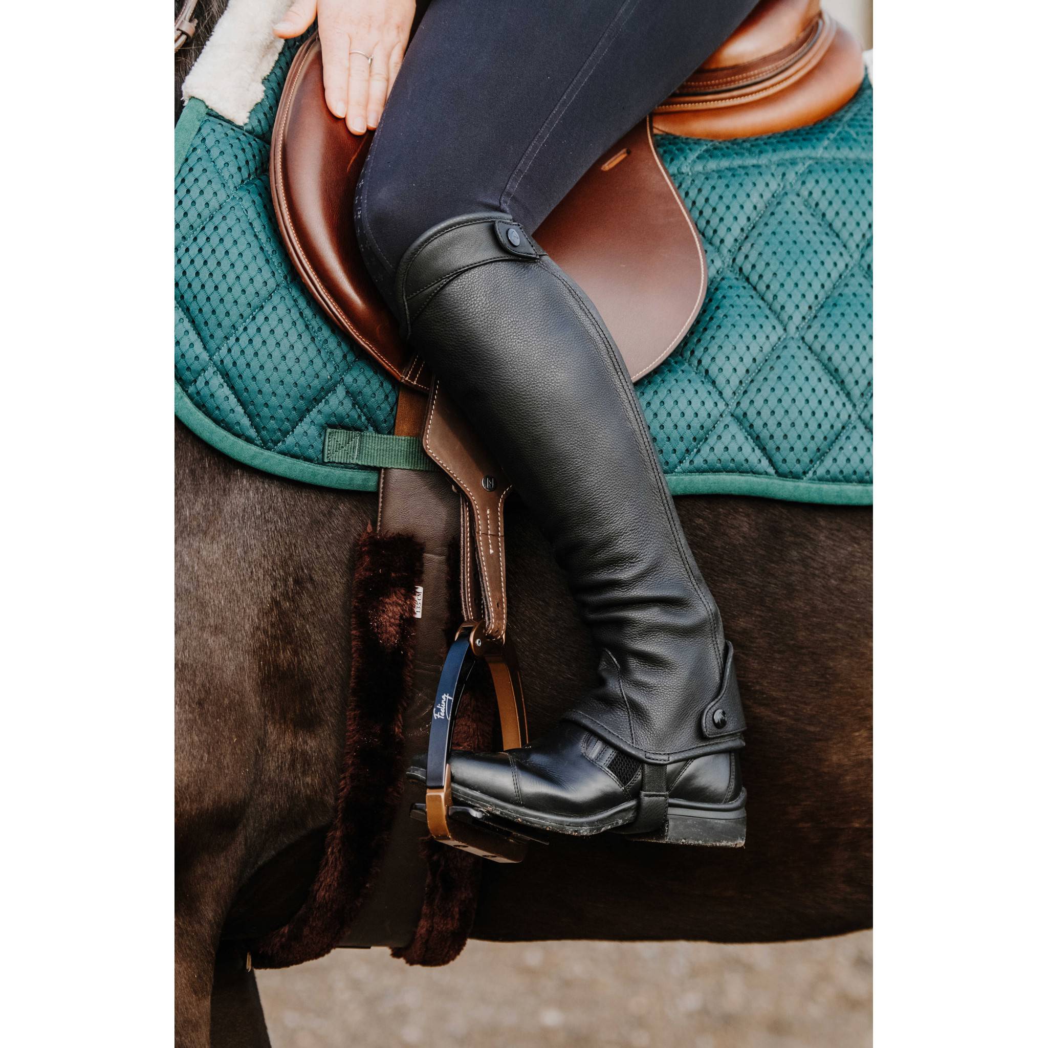 EQUITHÈME Select Half-Chaps - Adult Black 913013221