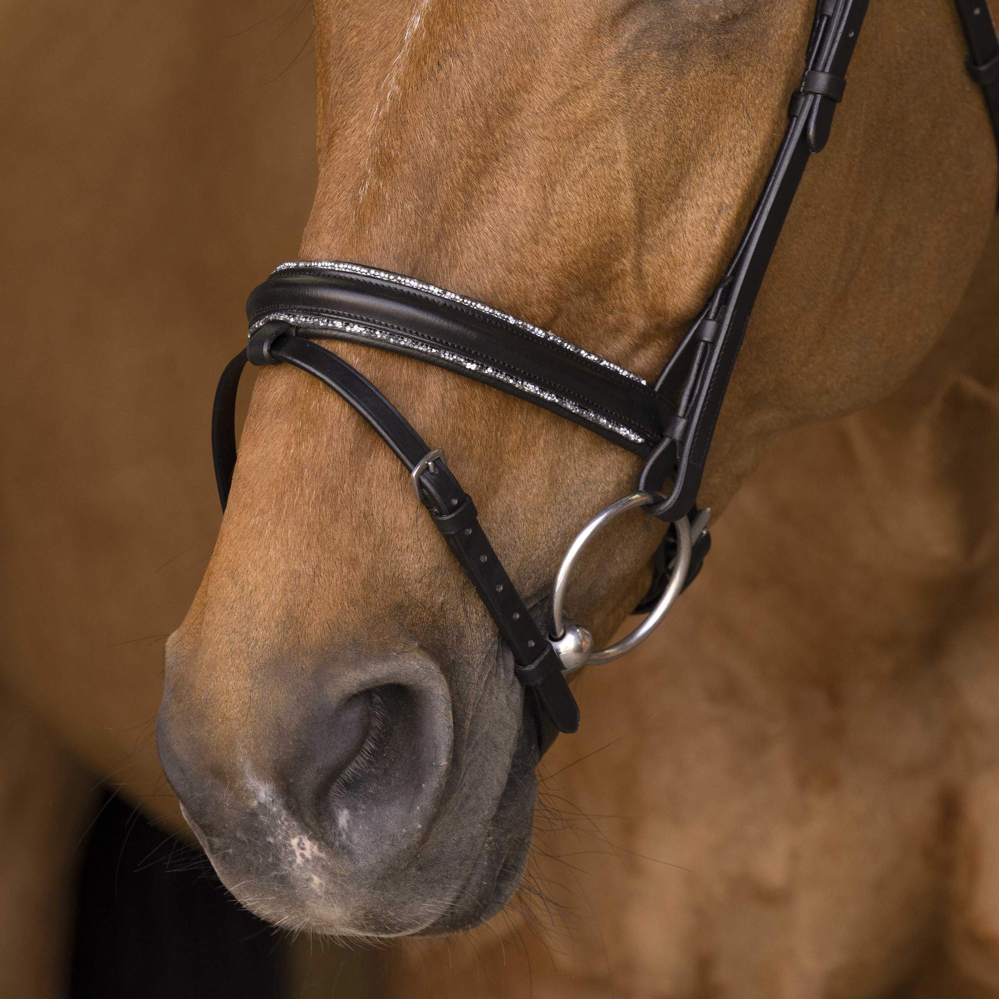 Norton Pro Rock Bridle Black 301892202