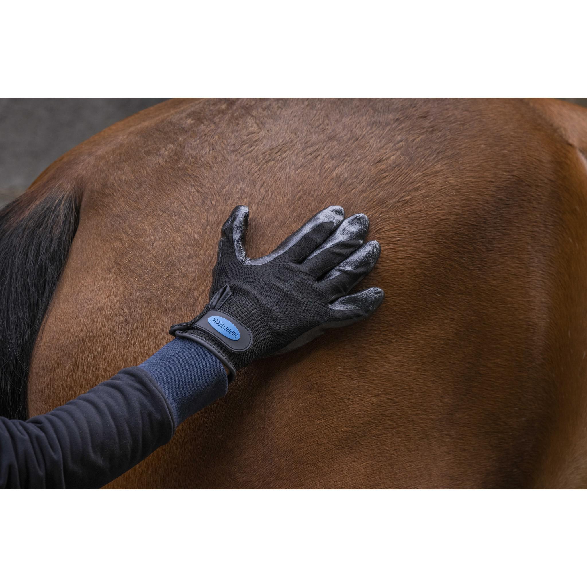 Hippo-Tonic Anti-moult Grooming glove Black 700162002