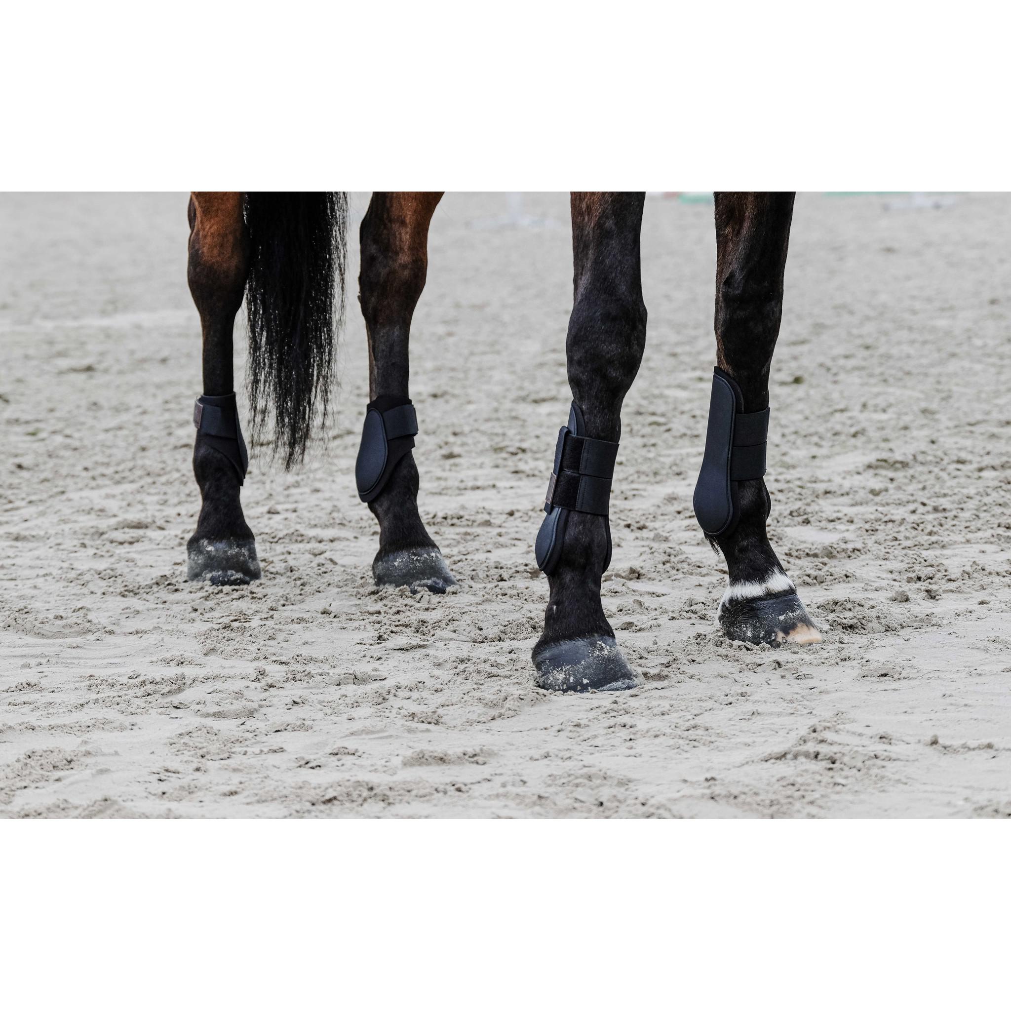 EQUITHÈME Tara Fetlock boots Black 530817302
