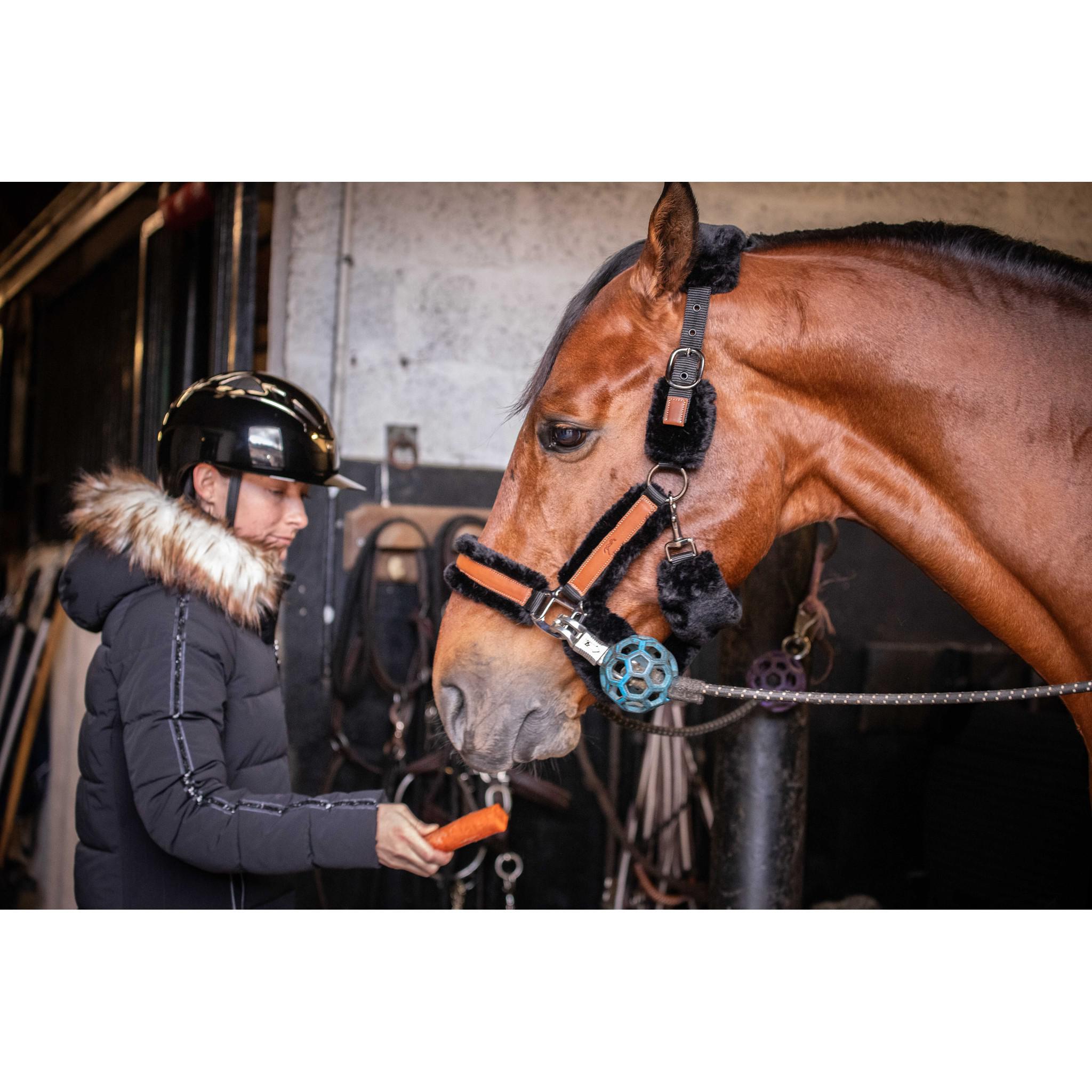 Pénélope Soft halter Black/ecru 510902325