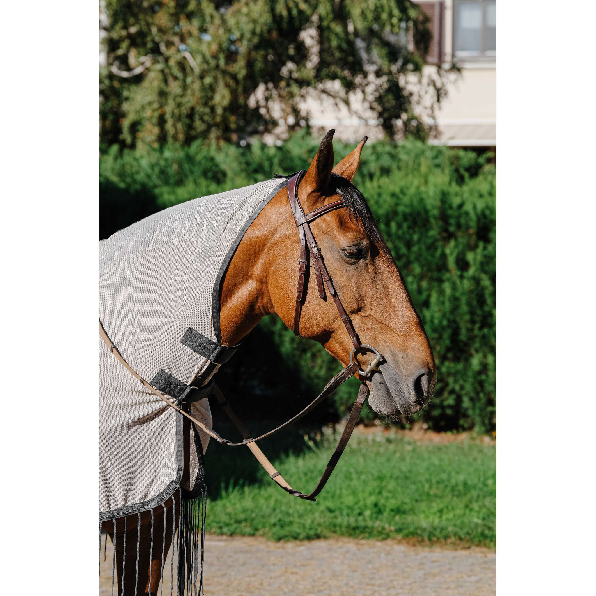 Riding World Work Fly Sheet Grey 400703063