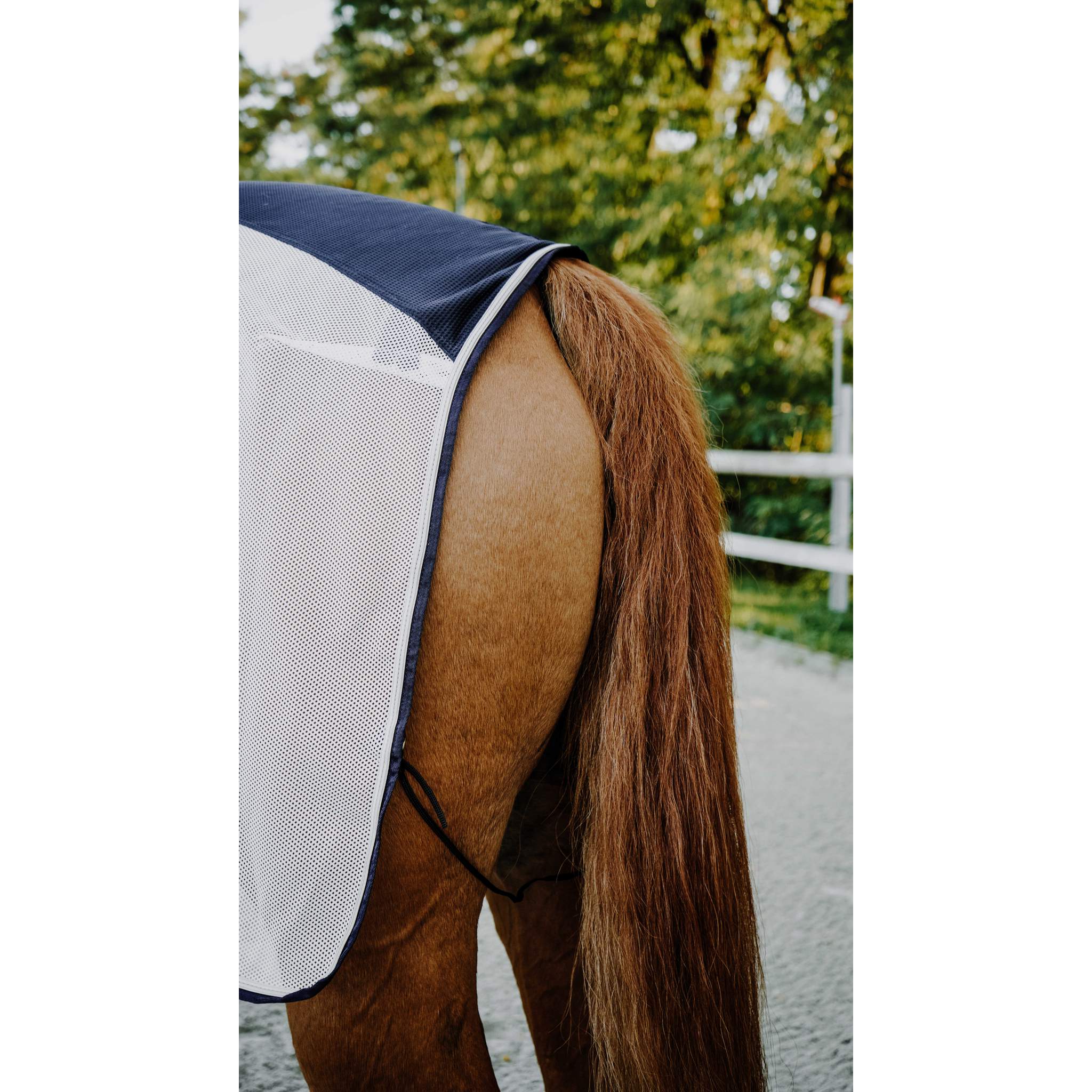 EQUITHÈME Square Flycool Quarter Sheet Navy/white - 400008140_ambi_3