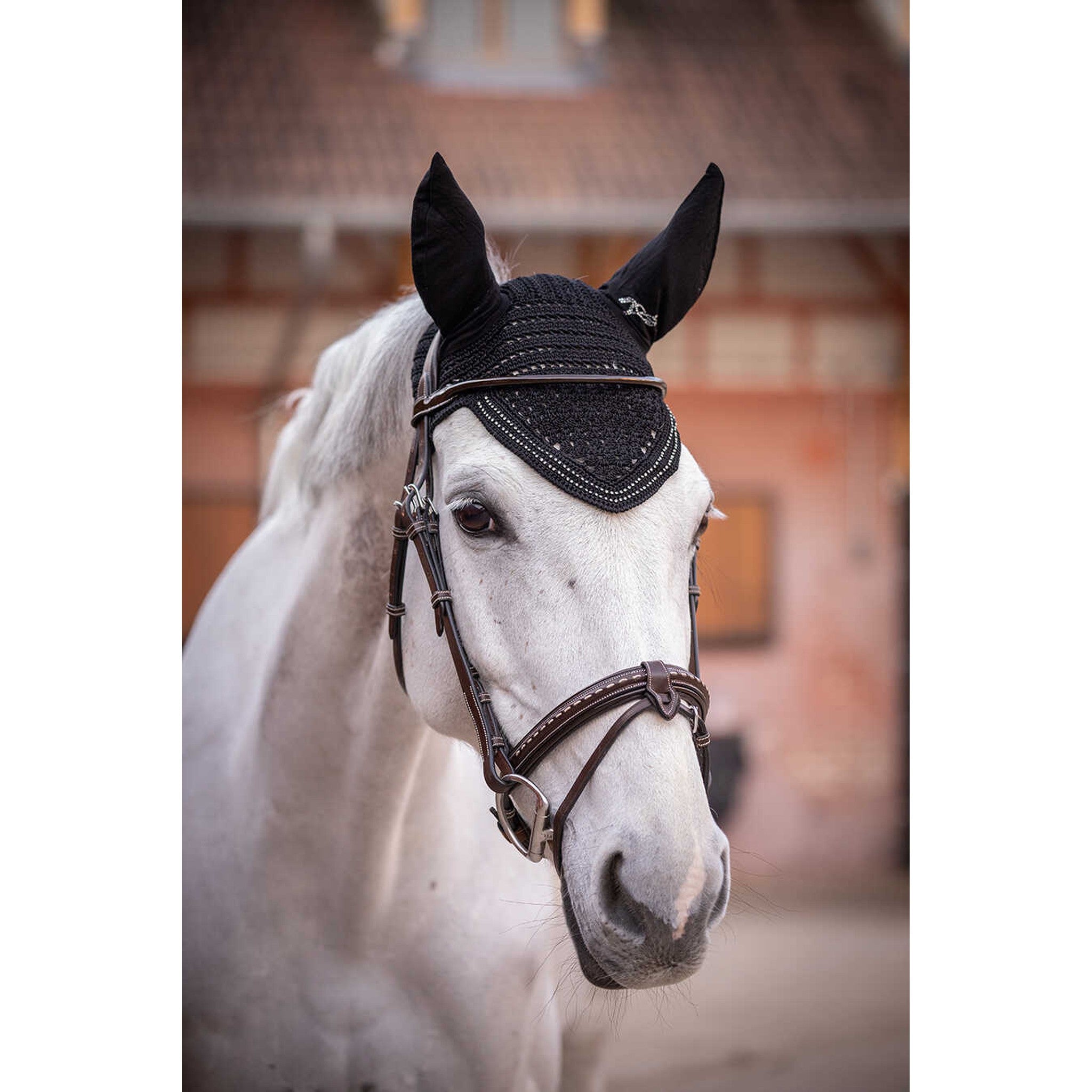 Penelope New Strass Fly Veil Black - 306890002_ambi_1