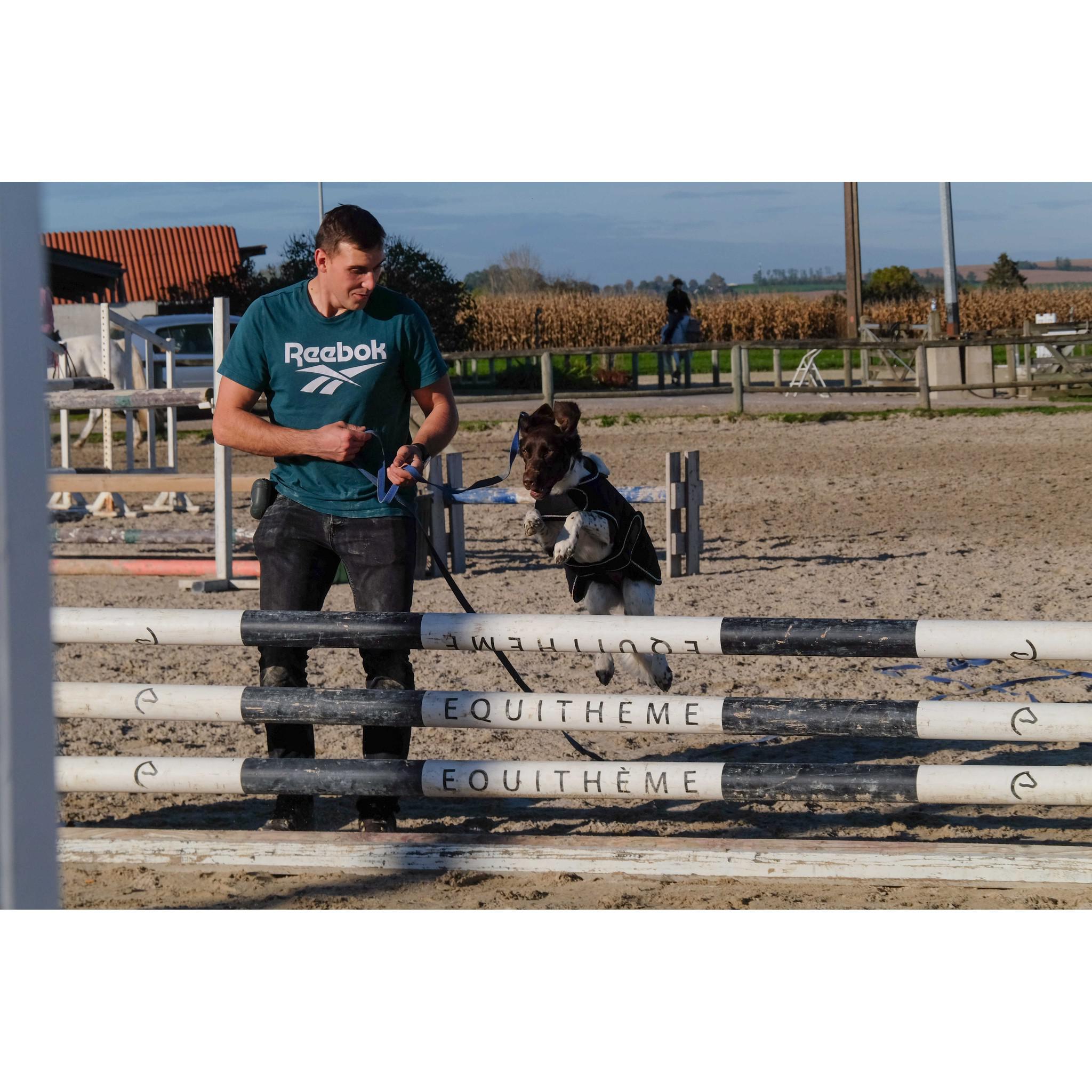 Je t'aime EQUITHÈME Velours dog rug Black 409037240