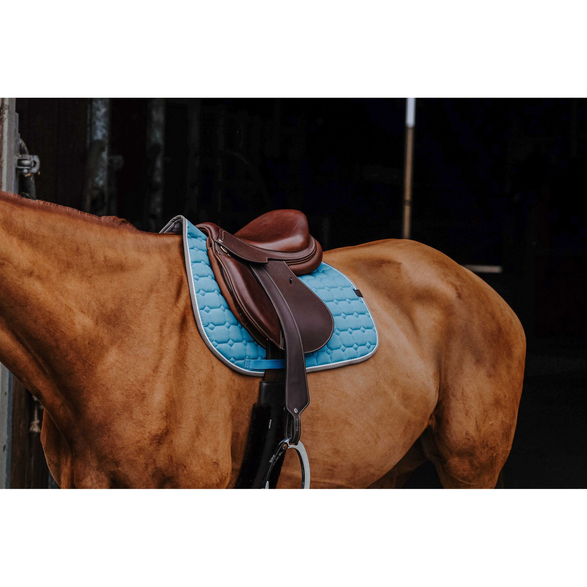 EQUITHÈME Orion saddle pad - All purpose Turquoise 204774017