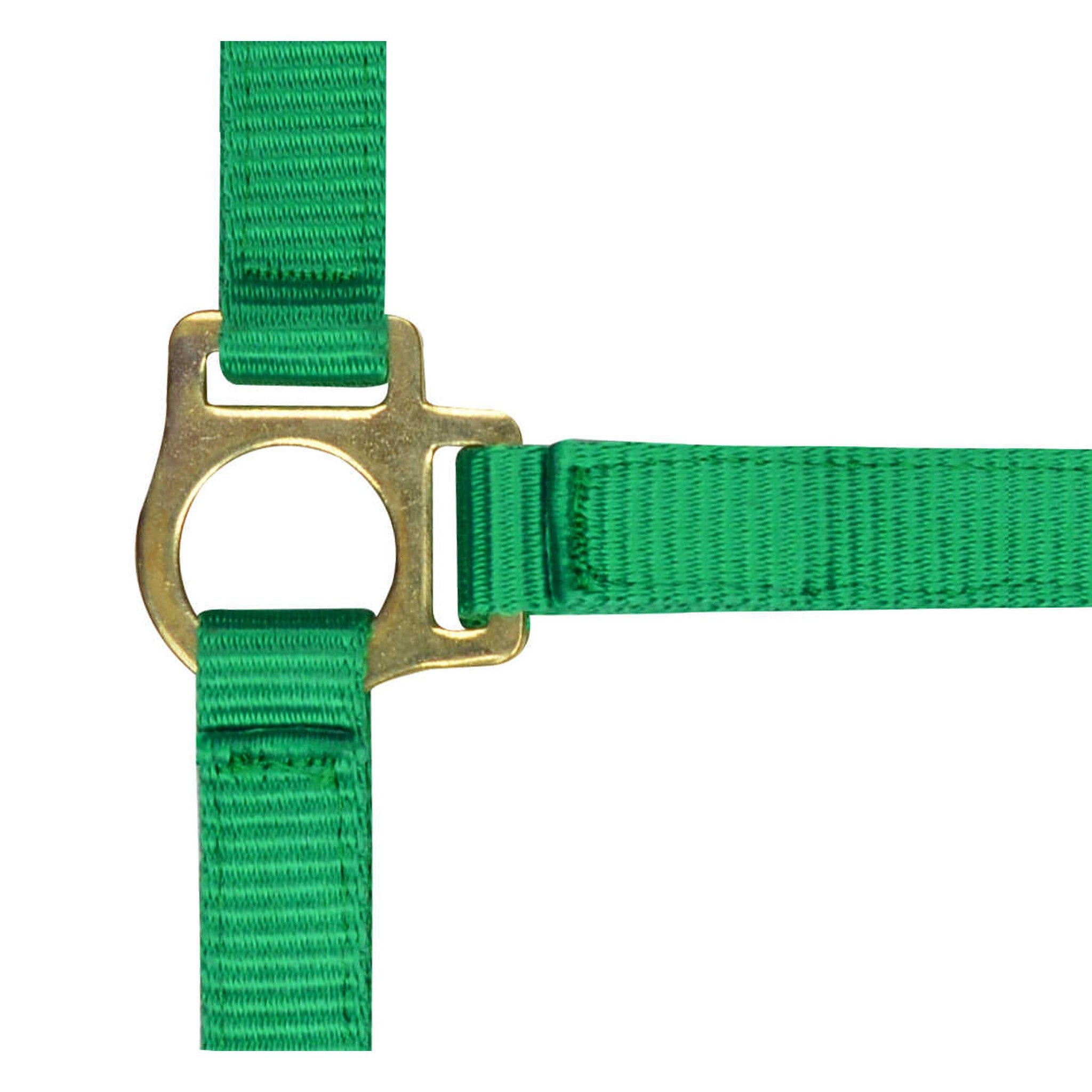 Norton Nylon halter foal Light green 510038008