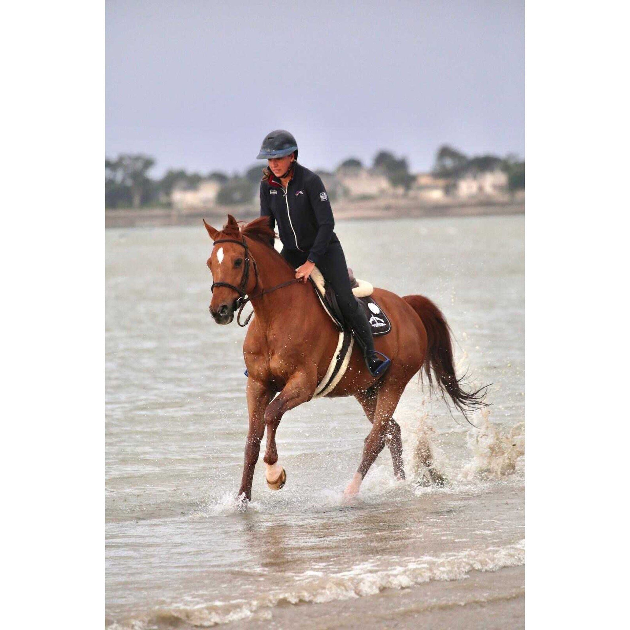 NACA Helmet - Comète XP - Glow Blue 990100701