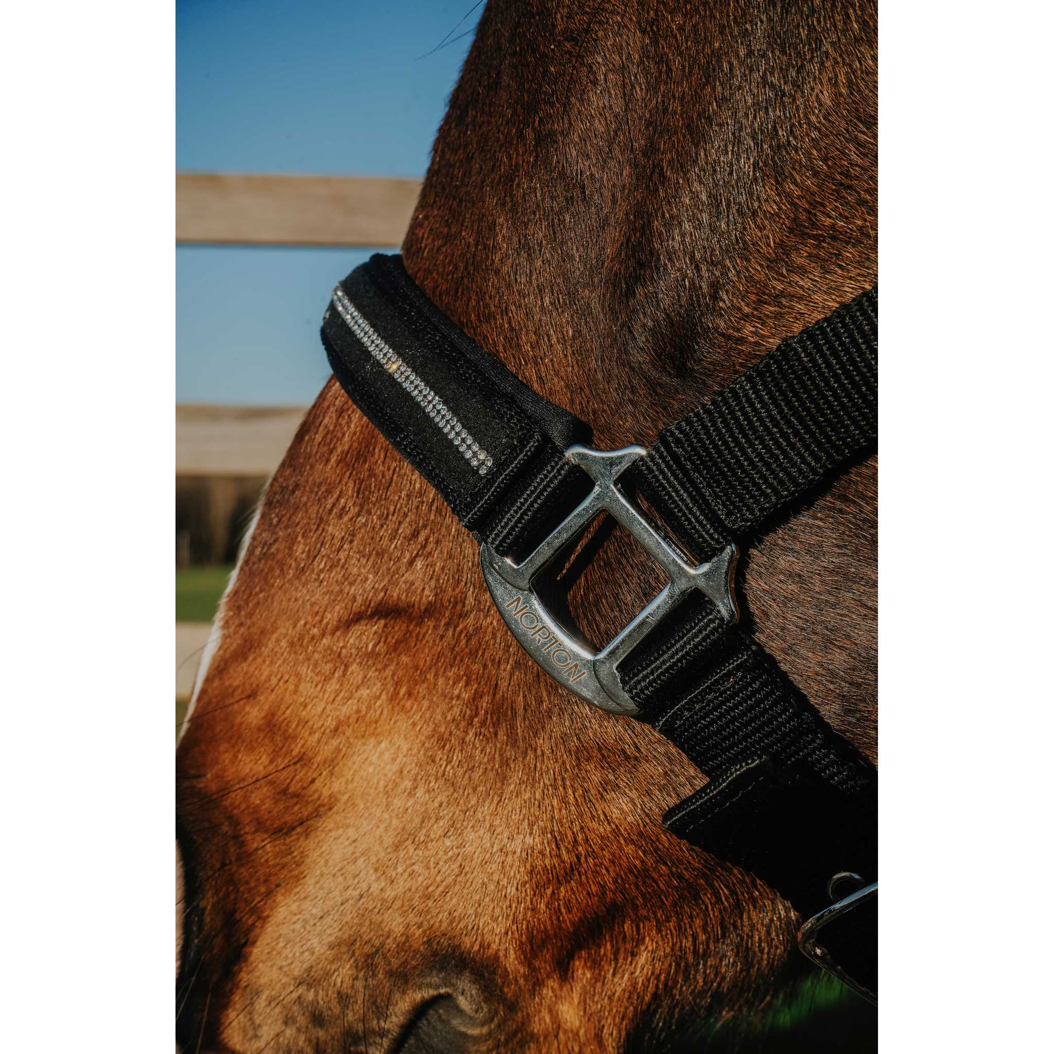 NORTON Crystal Halter Black - 510278302_ambi_2