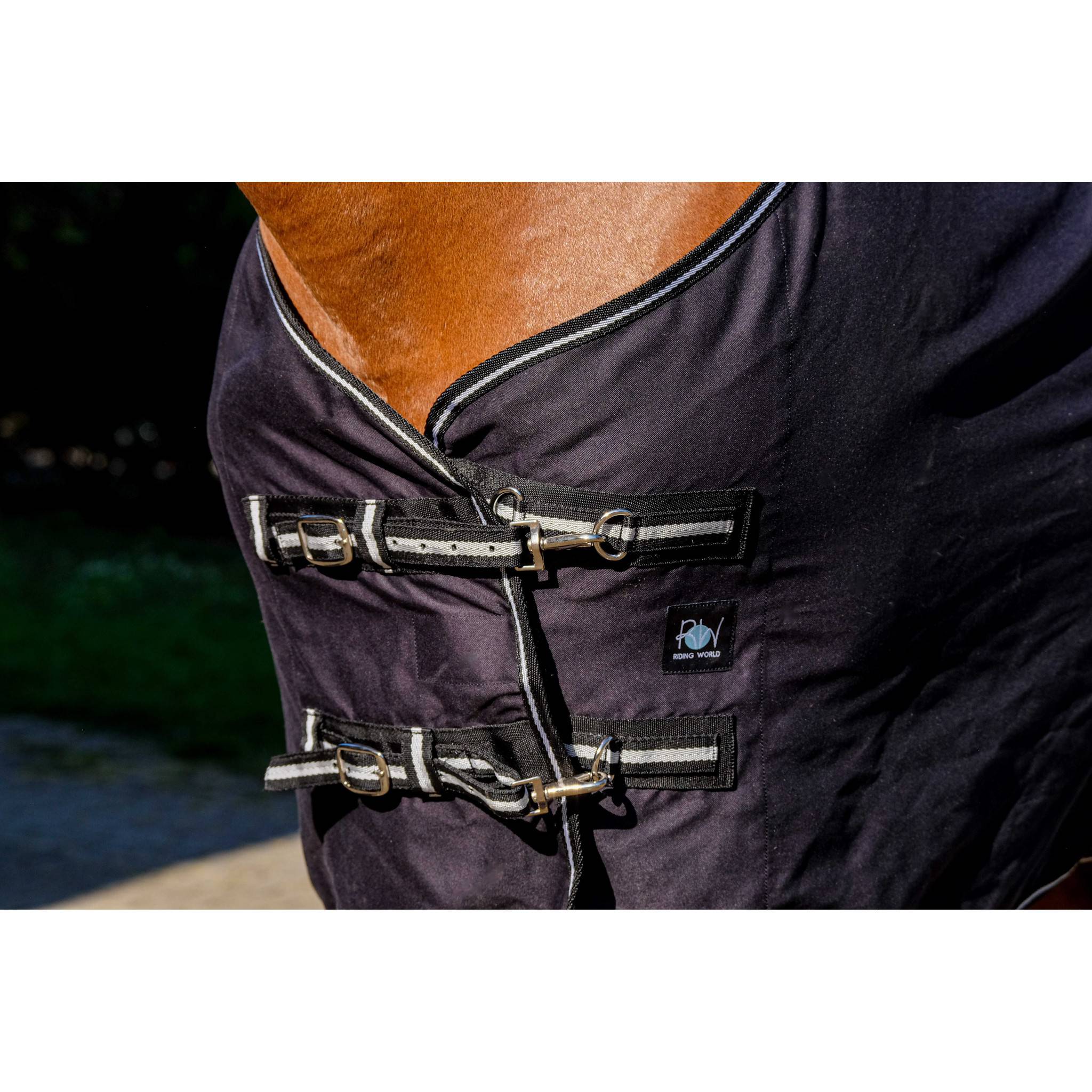 Riding World shiny Sheet Black 400709063