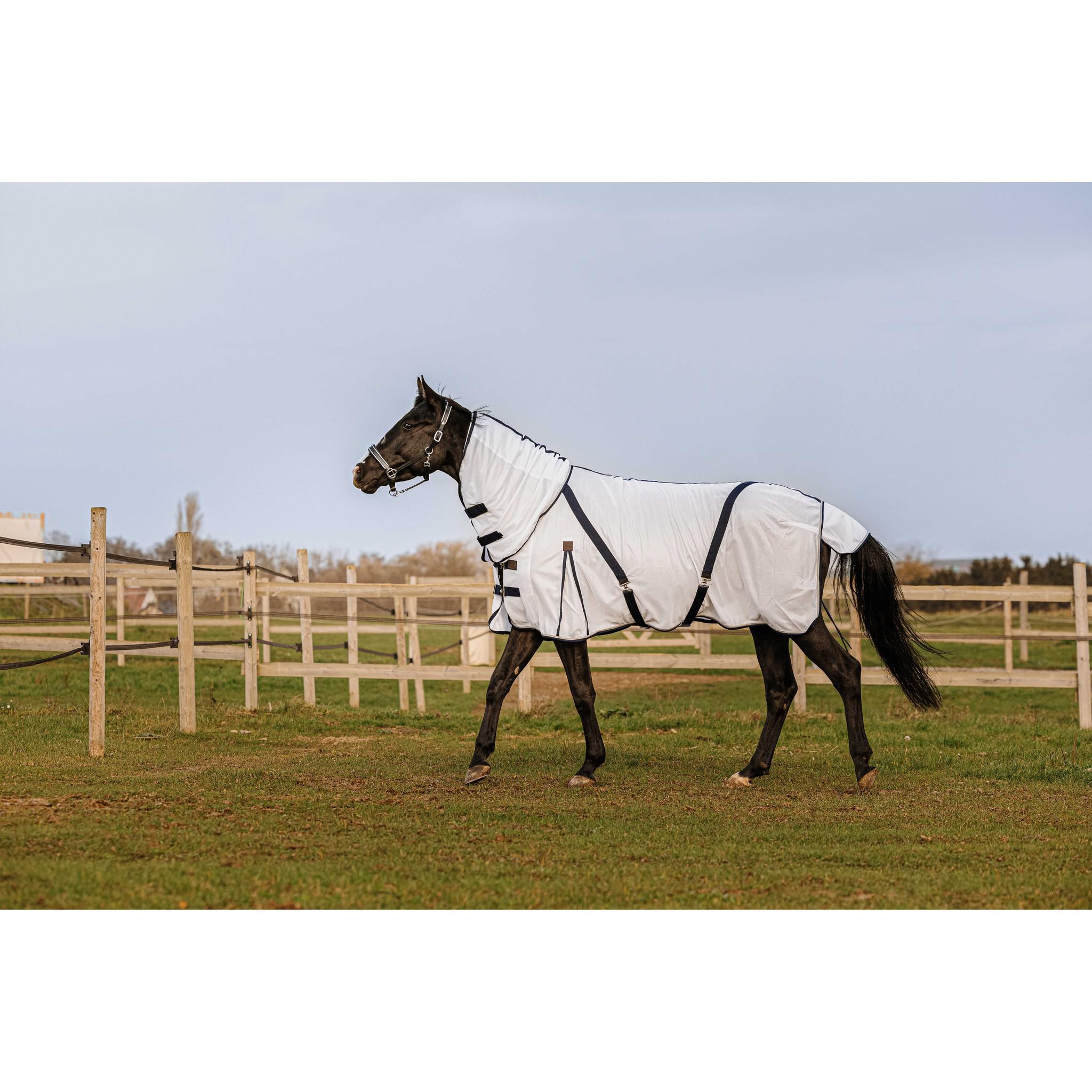 EQUITHÈME Mesh Sheet - Combo White 400350063