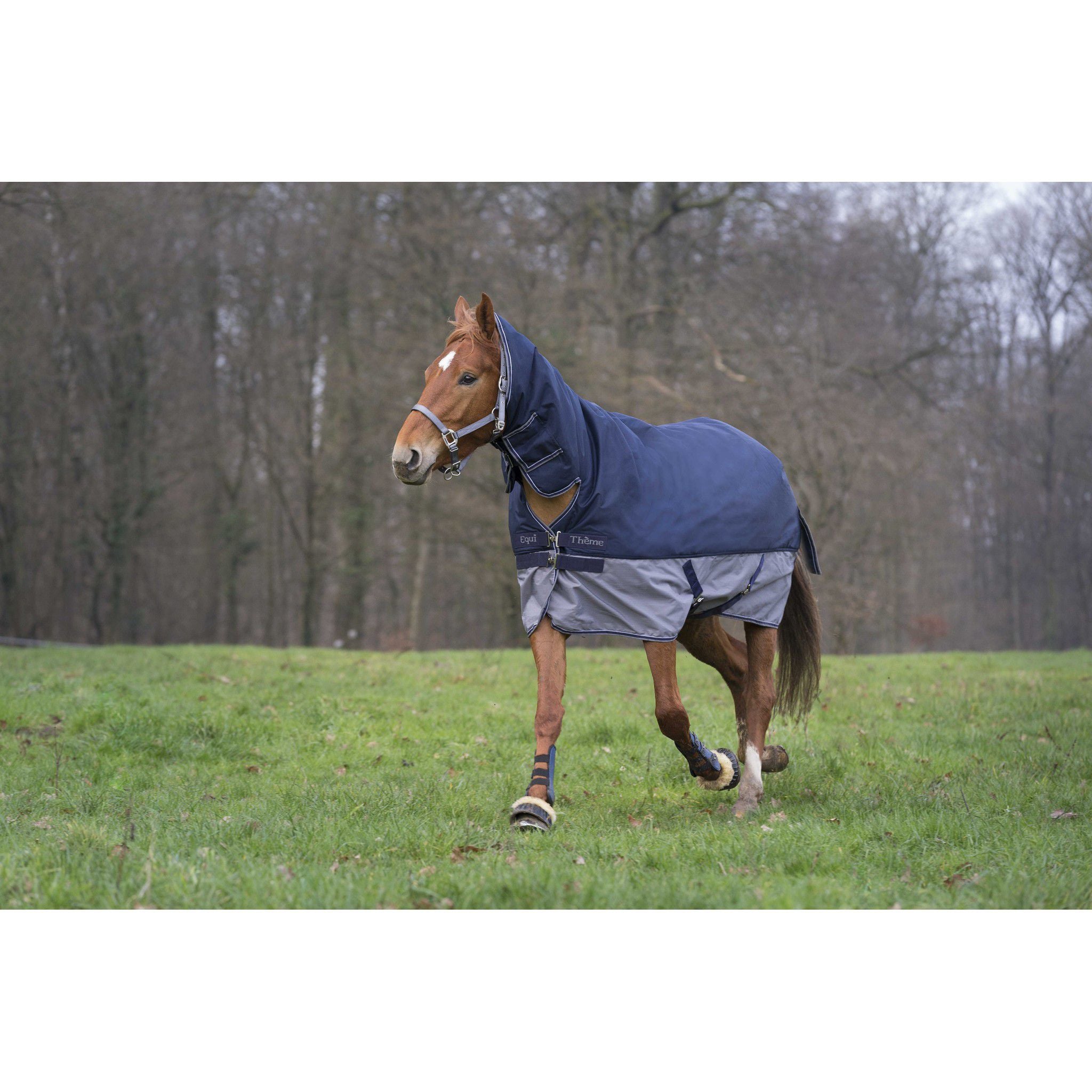 EQUITHÈME Tyrex 600D turnout rug - Combo Navy blue/grey 400920763