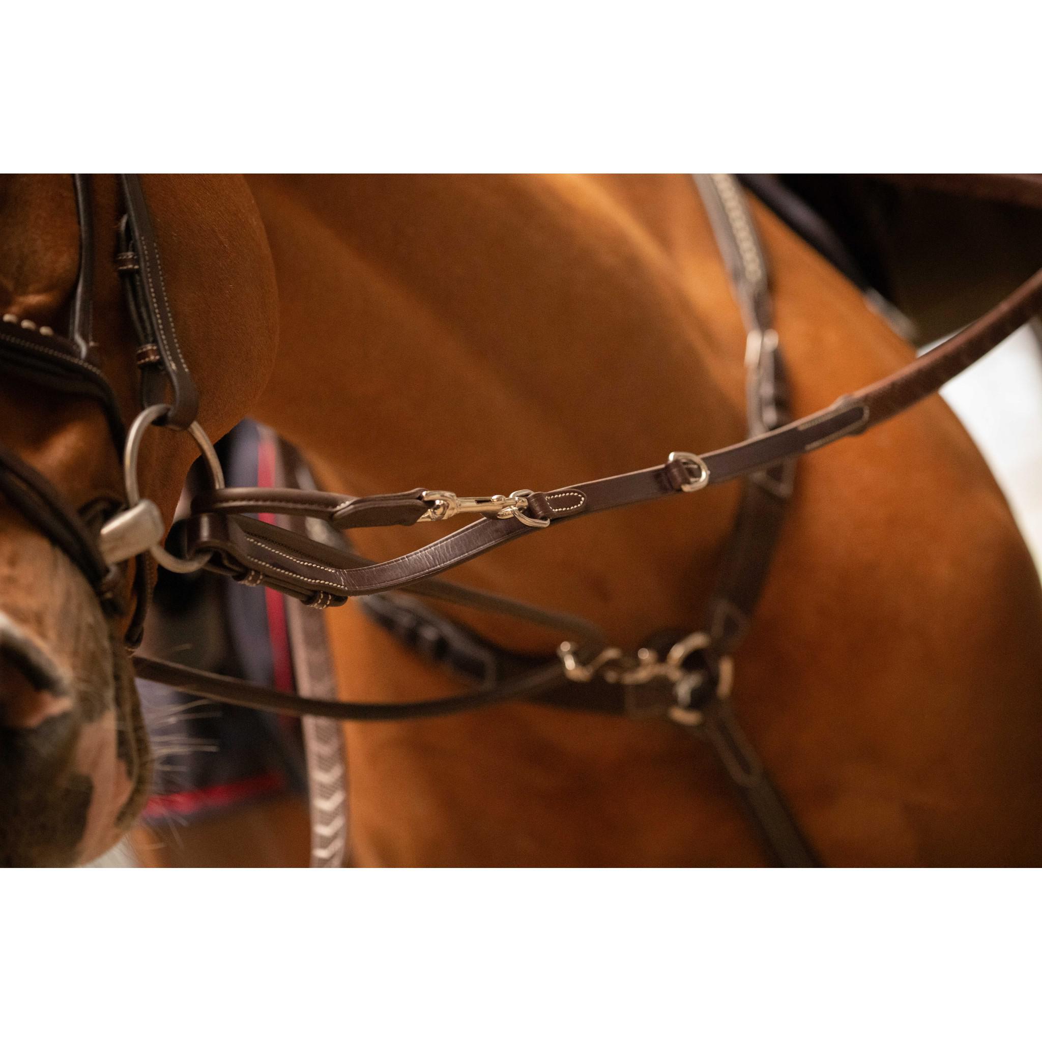 Pénélope Howlett training aid Havana 306103018