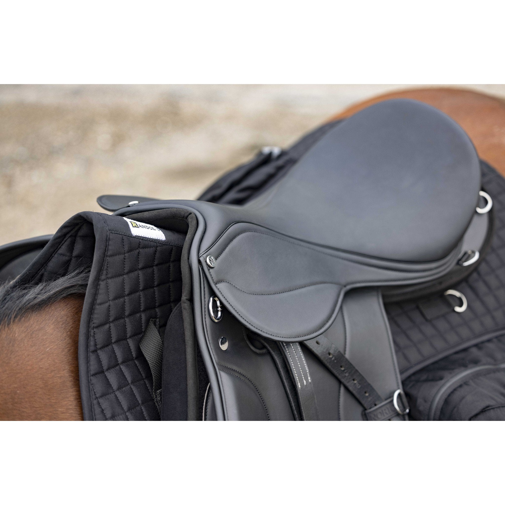 Norton Club Rexine Evol hiking saddle Black 117451170