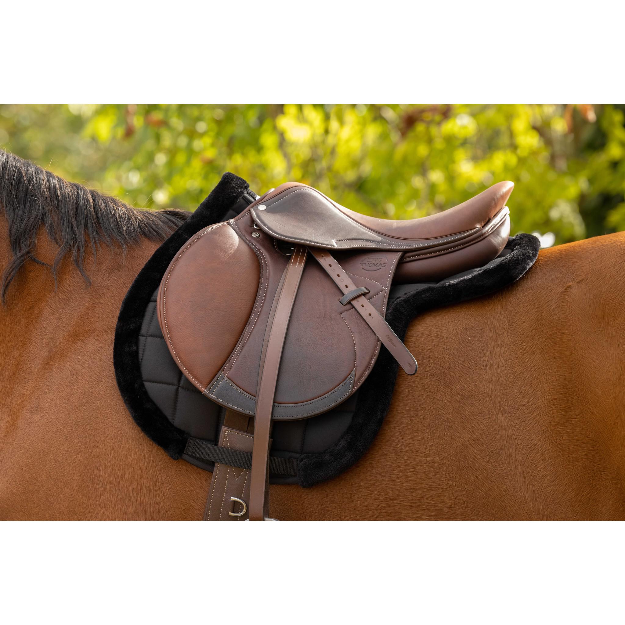 EQUITHÈME Pro Saddle pad - Hunter Black 204476002