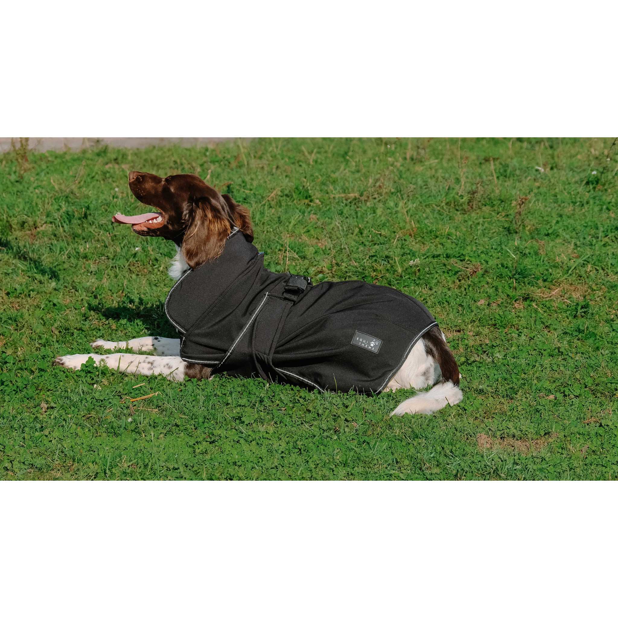 EQUITHÈME Softshell dog rug Black 409034260