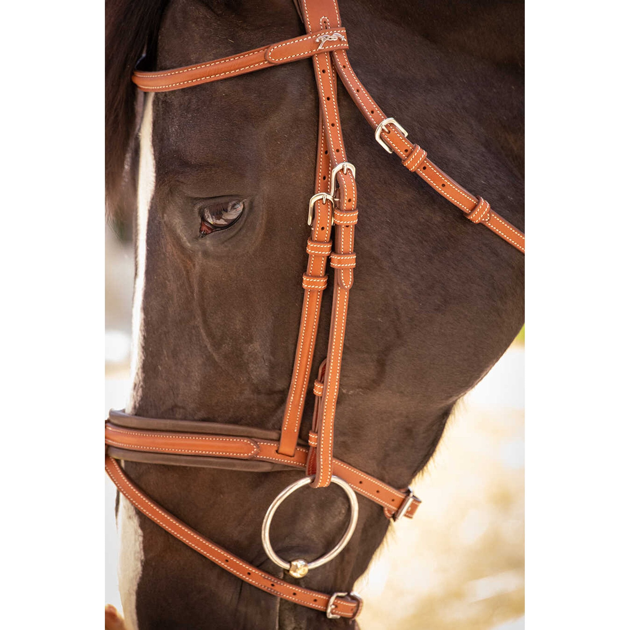 Penelope Elegance Bridle Cognac - 301605314_ambi_9