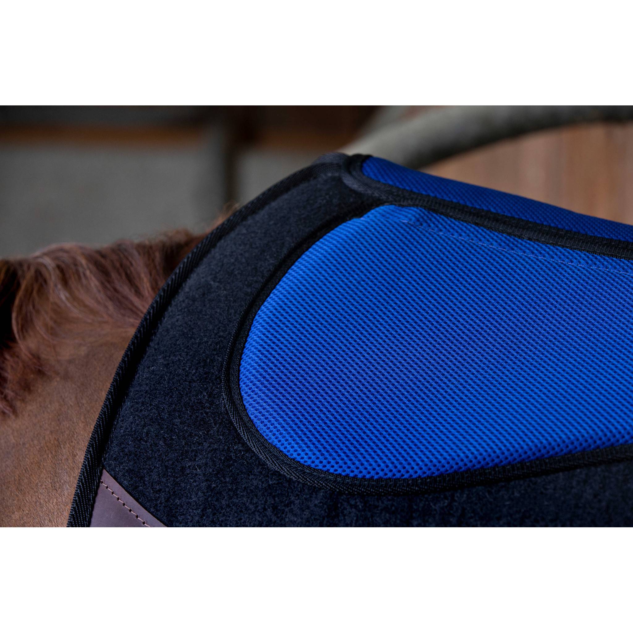 Westride Pro Felt and Foam Western saddle pad Black/blue 801108002