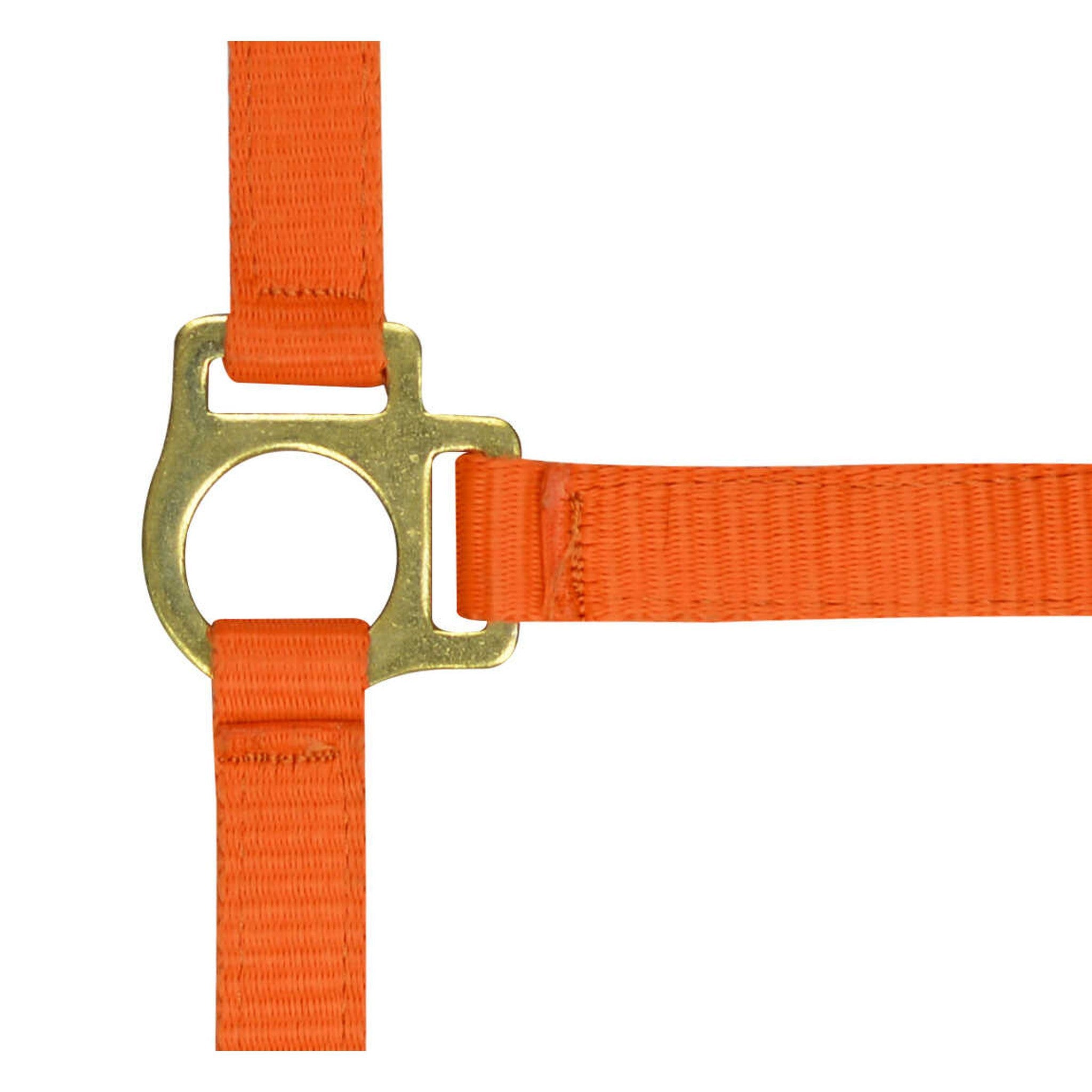 Norton Nylon halter foal Orange 510038022