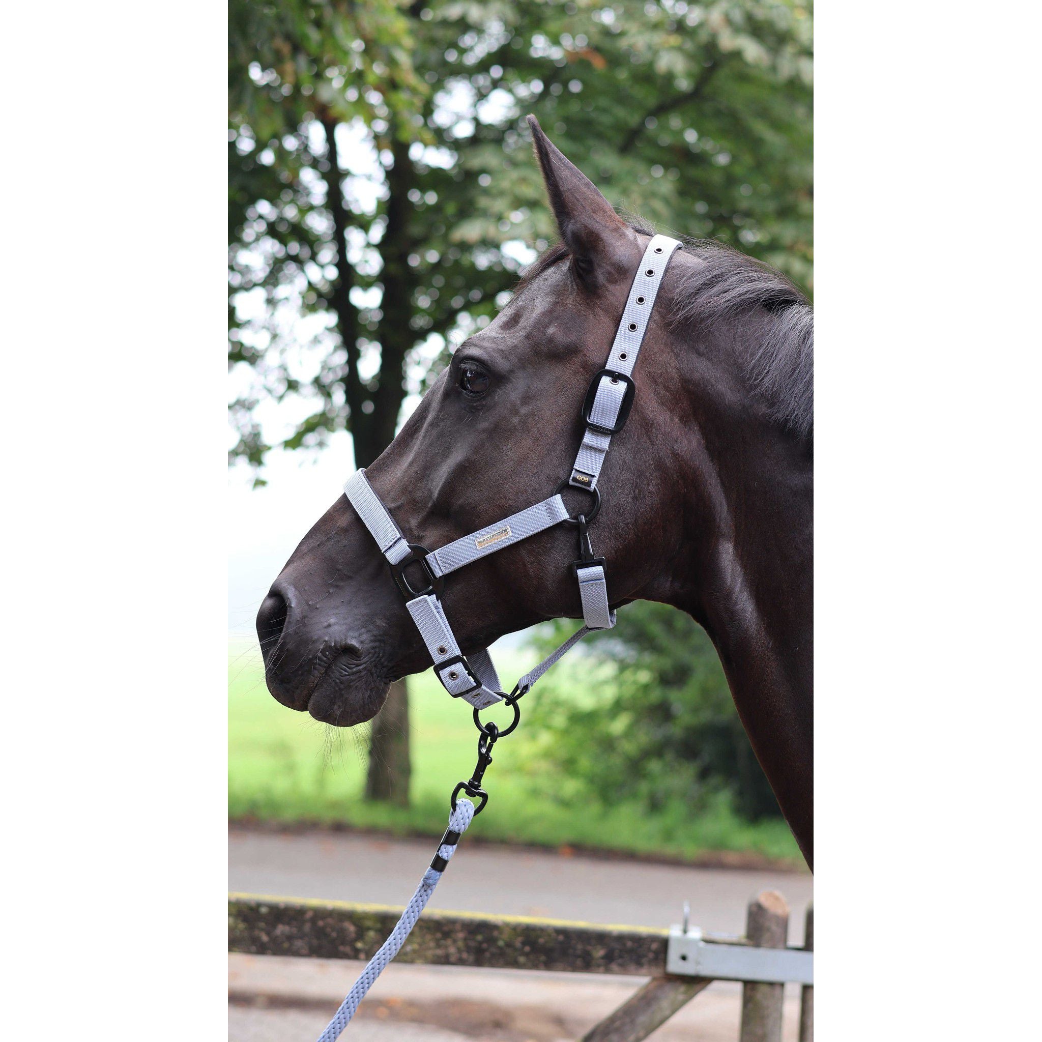 Lami-Cell Midnight Lead rope Grey 555028030