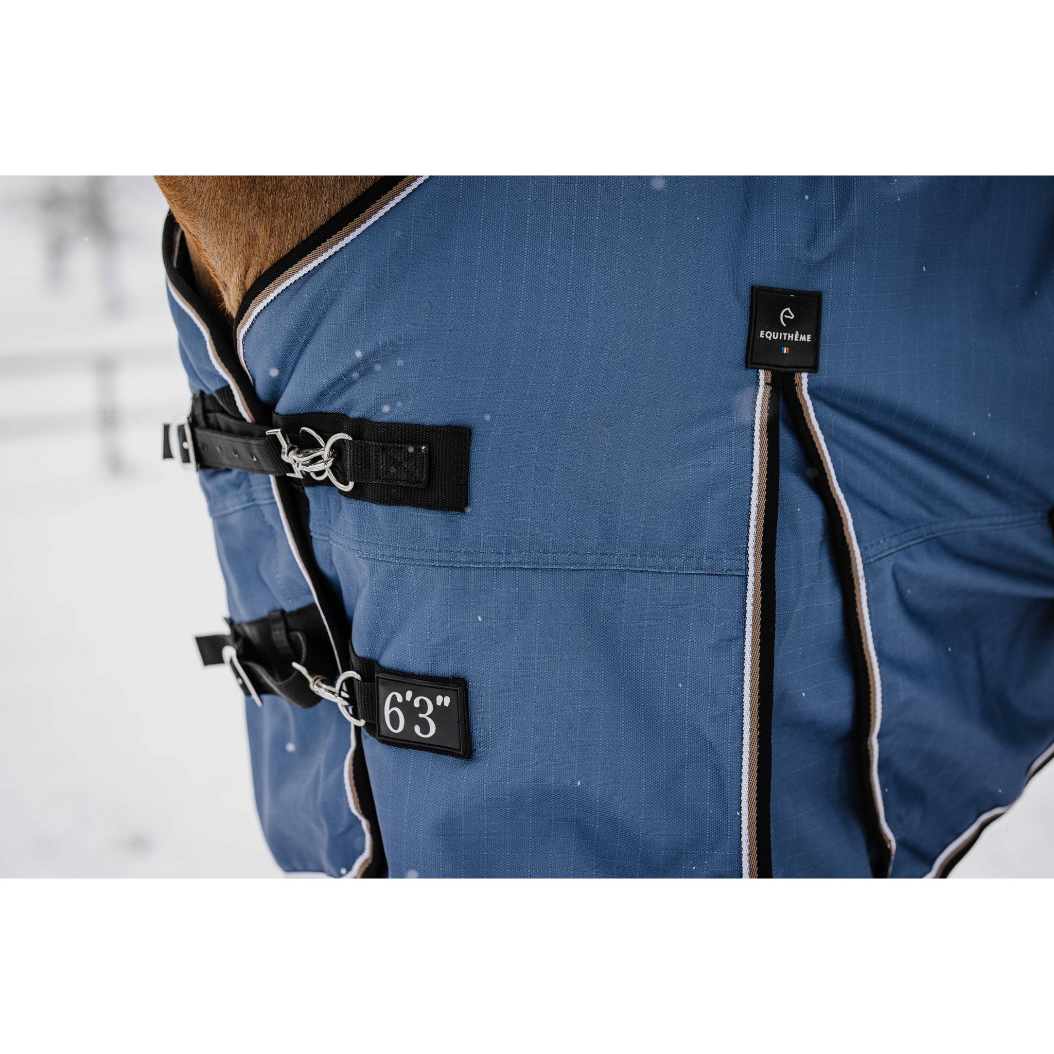 EQUITHÈME TYREX 1200D High Neck Horse Blanket Cobalt Blue - 400600470_ambi_5