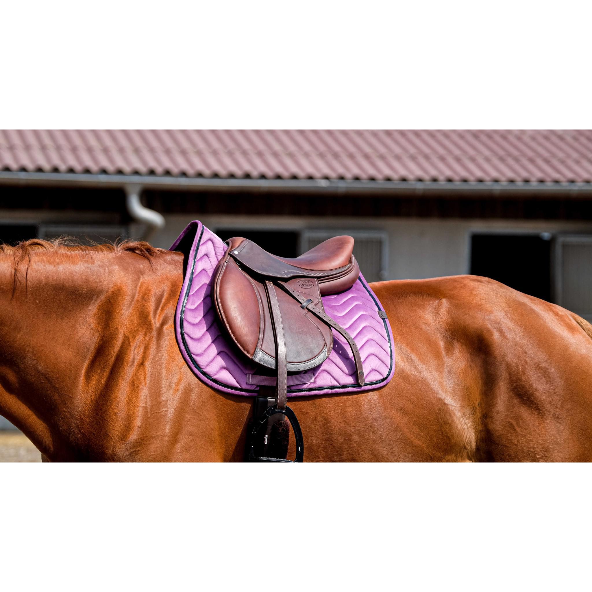 EQUITHÈME Glossy Saddle pad - All purpose Purple 204761015