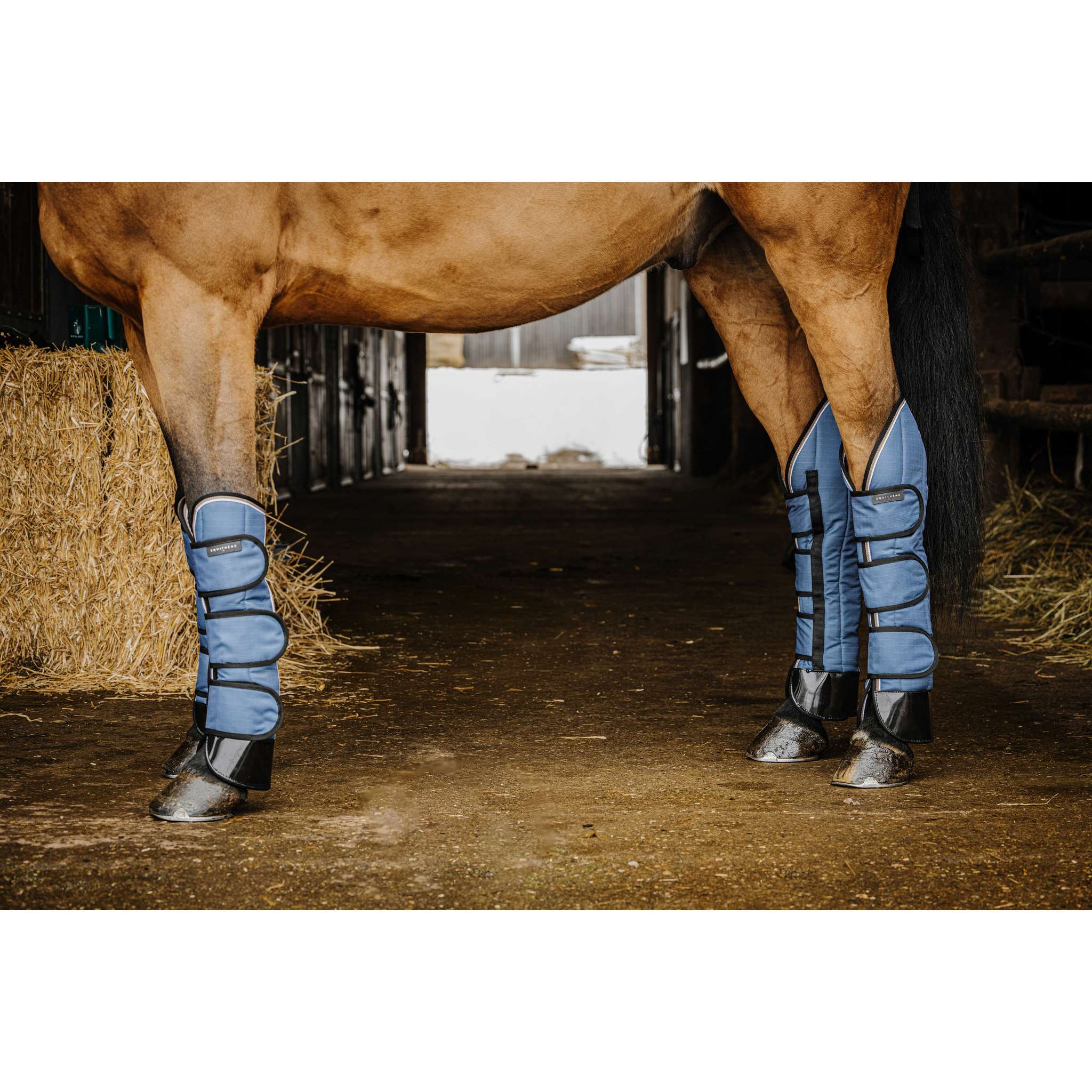 EQUITHÈME Tyrex 1200D Comfort Travel Boots Cobalt Blue - 402085061_ambi_1