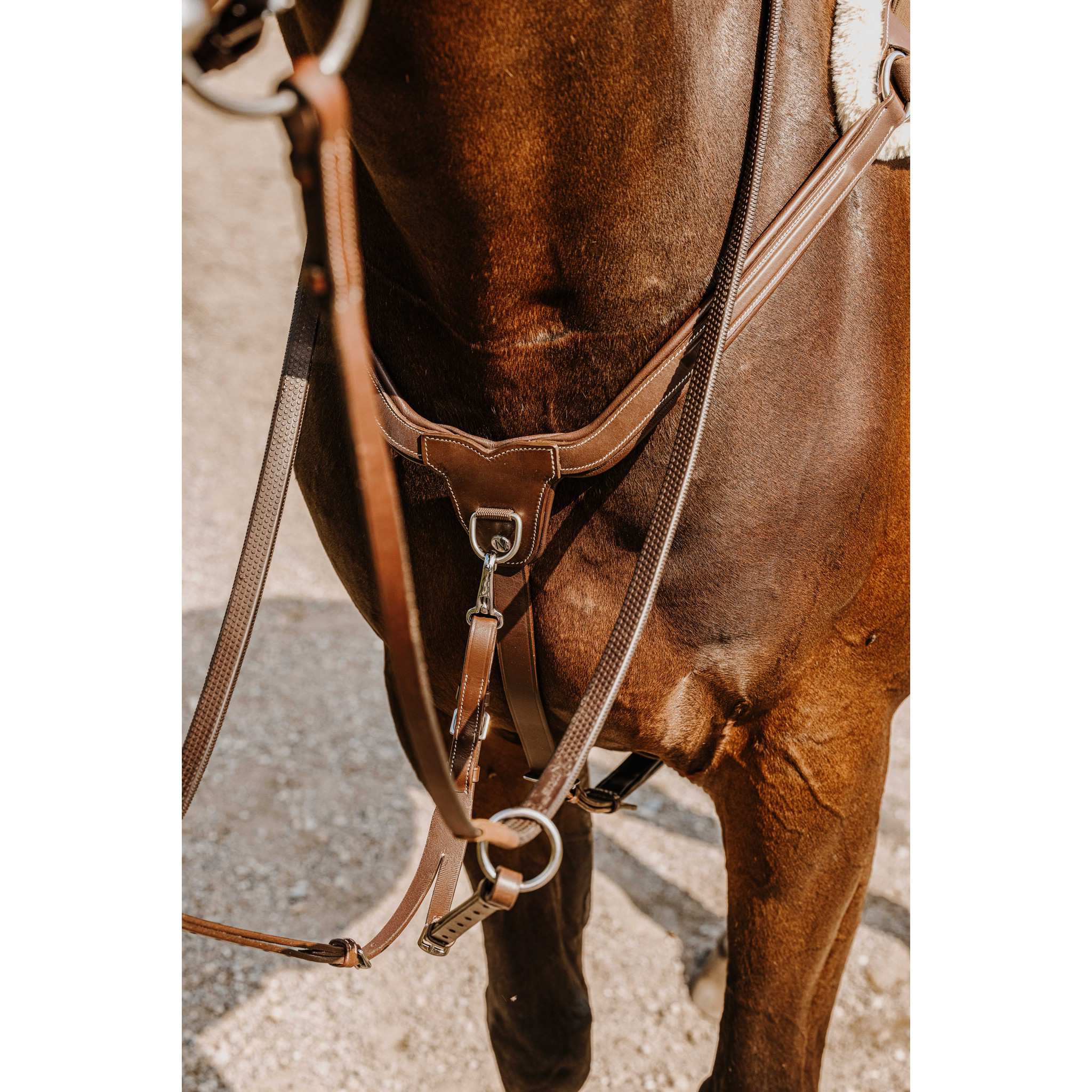 Norton 5-Point Hunting Breastplate Havana 306594318