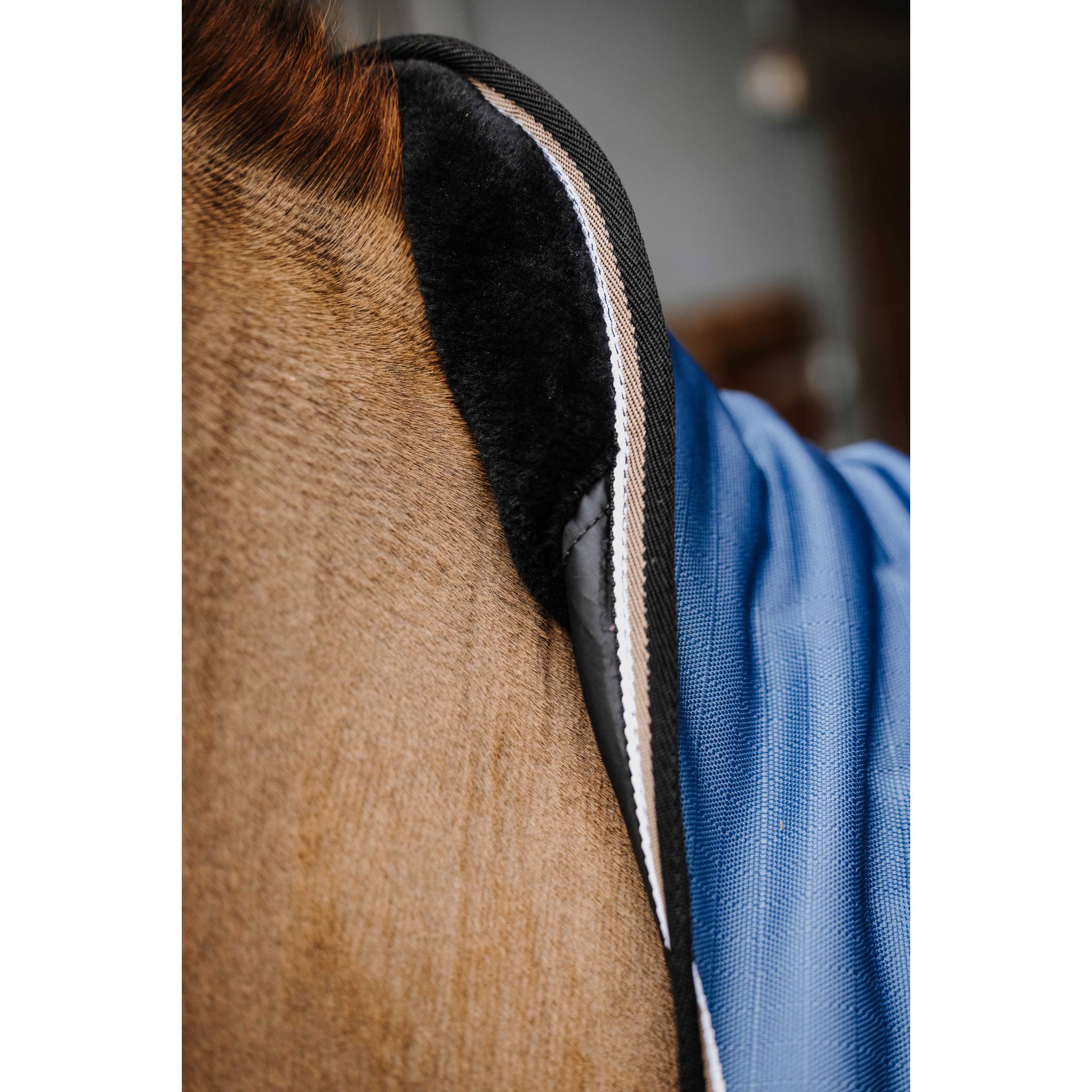 EQUITHÈME COBALT High Neck TYREX 1200D Turnout Sheet Cobalt Blue - 400599469_ambi_3