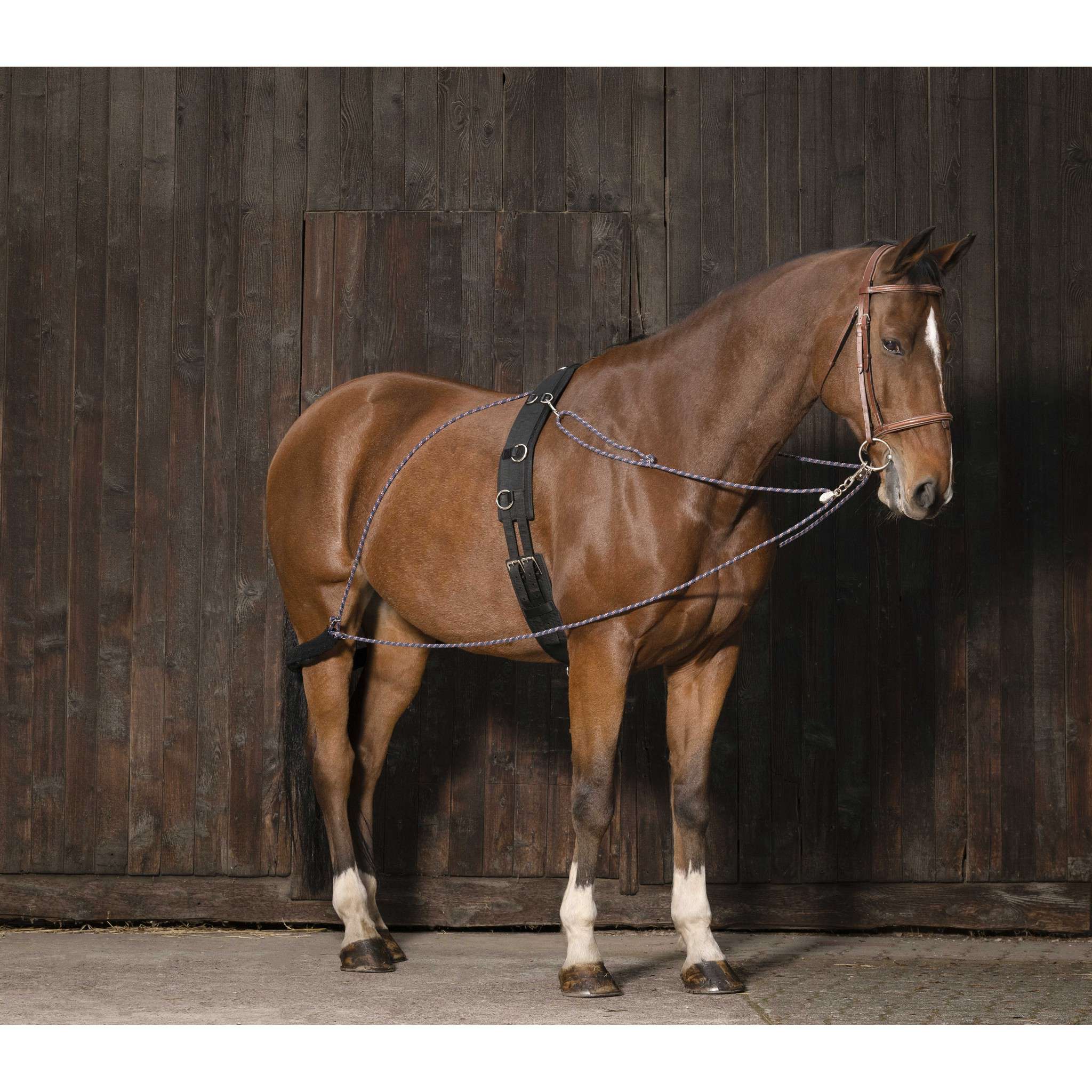 Norton Pulley training aid Two-tone colors, assorted 306423