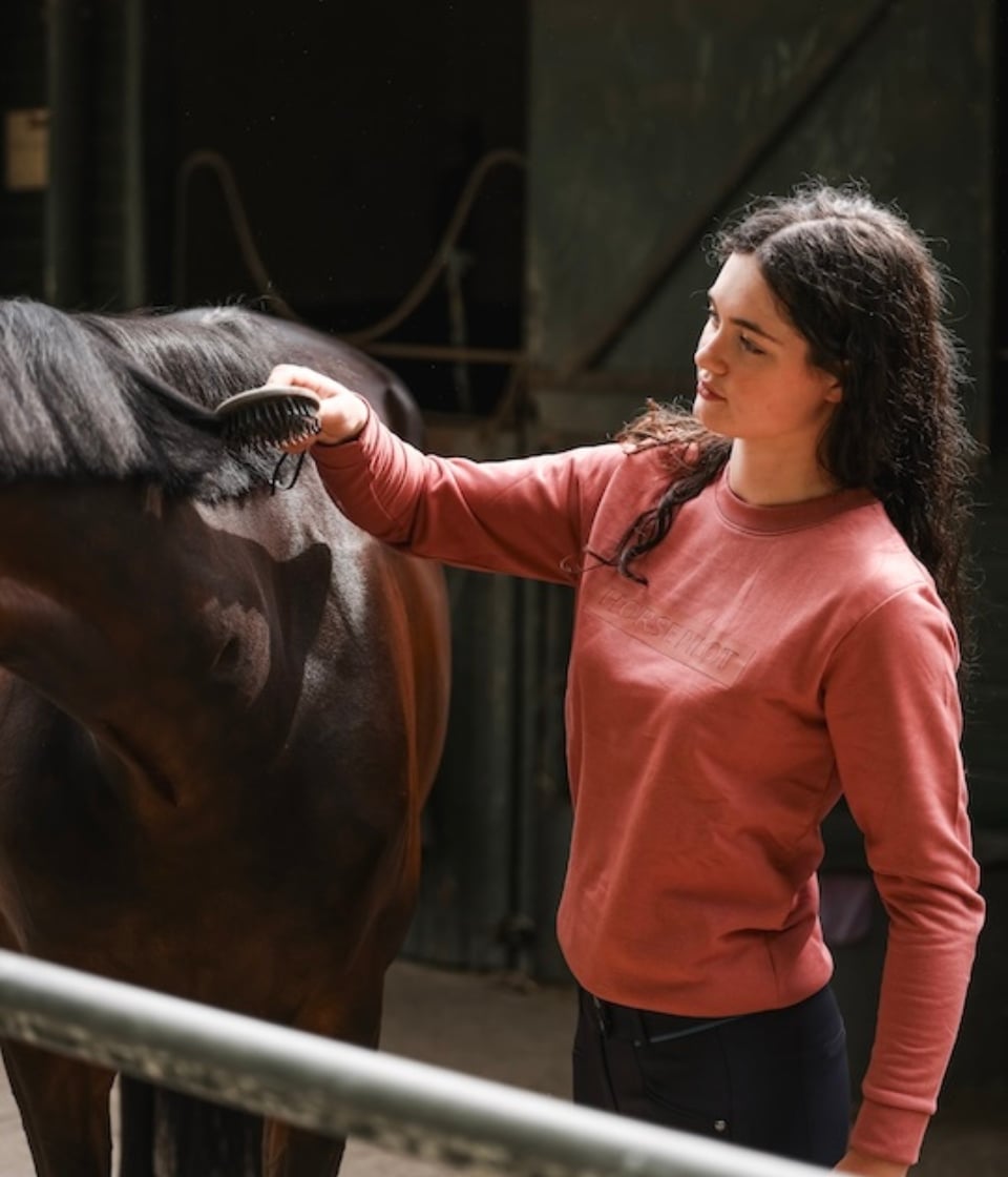 Horse Pilot Team Sweatshirt Women - Brick Dust