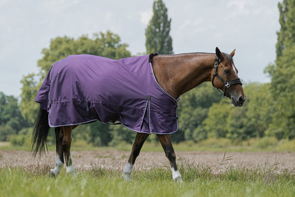 EQUITHÈME Tyrex 600D Aisance Turnout Sheet - Standard Plum
