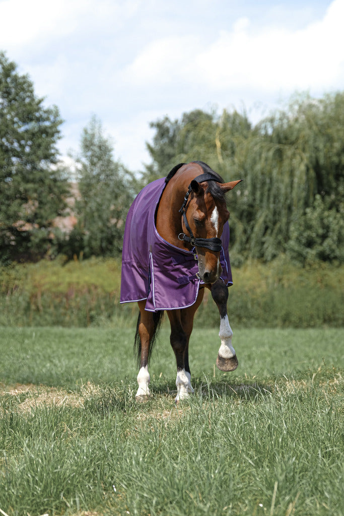 EQUITHÈME Tyrex 600D Aisance Turnout Sheet - Standard Plum