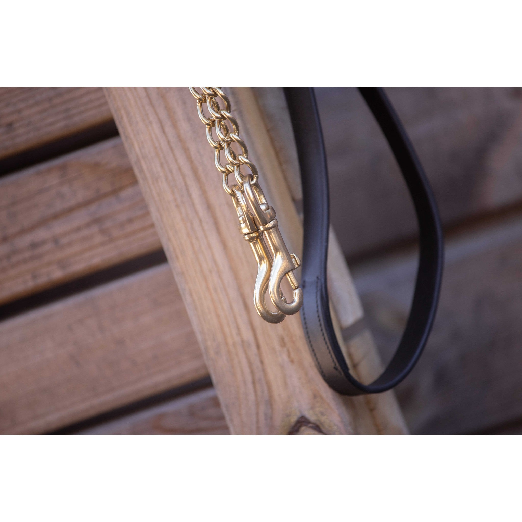 Paddock Sports Presentation Lead Rope Black 520034002