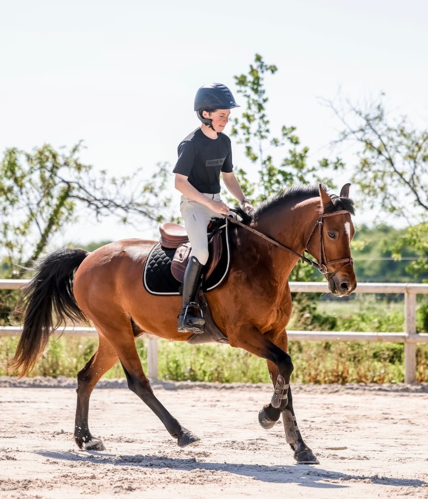 Horse Pilot Team Shirt Men - Black