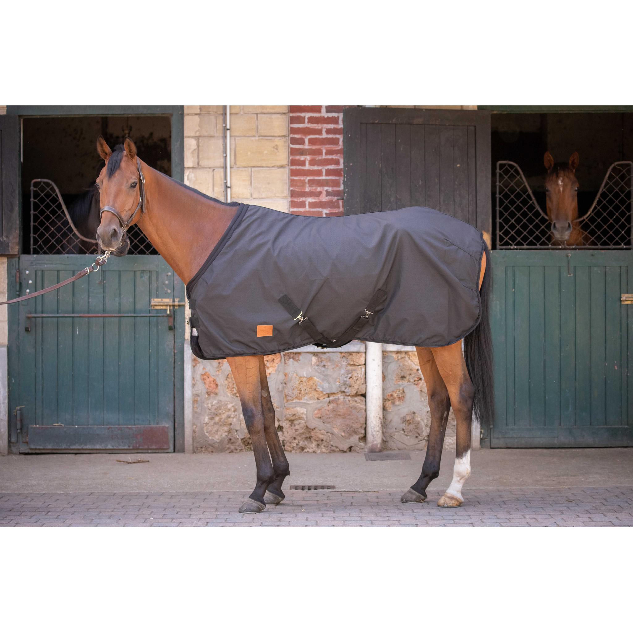 Paddock Sports Ripstop stable sheet Black 400012259