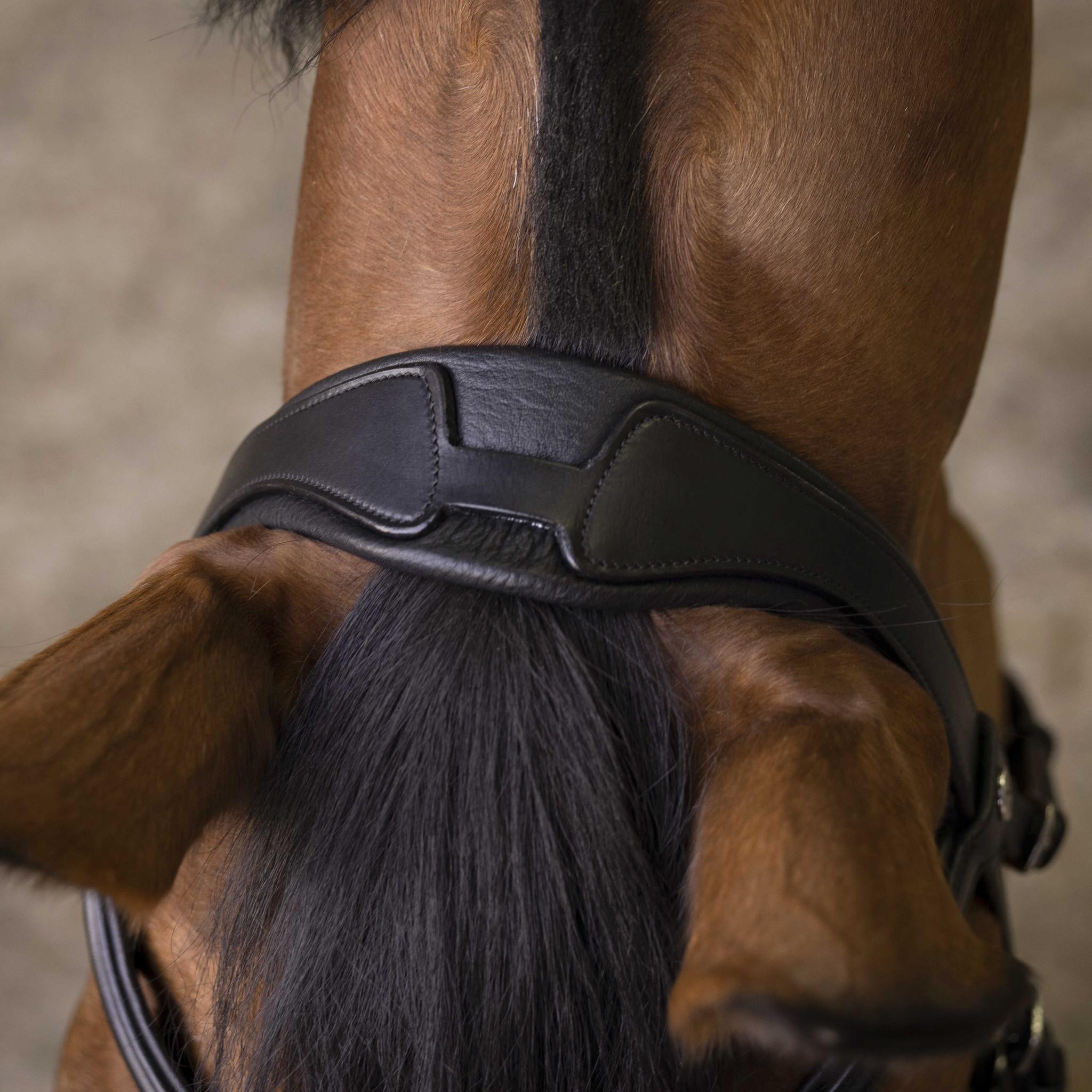 Norton Pro Rock Bridle Black 301892202
