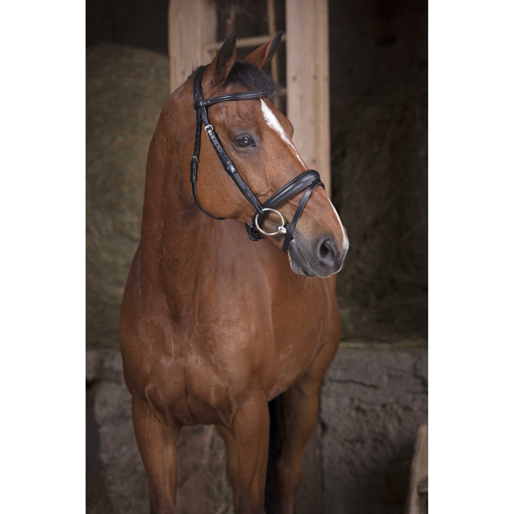 Bridle Norton Pro Soft Black 301830302