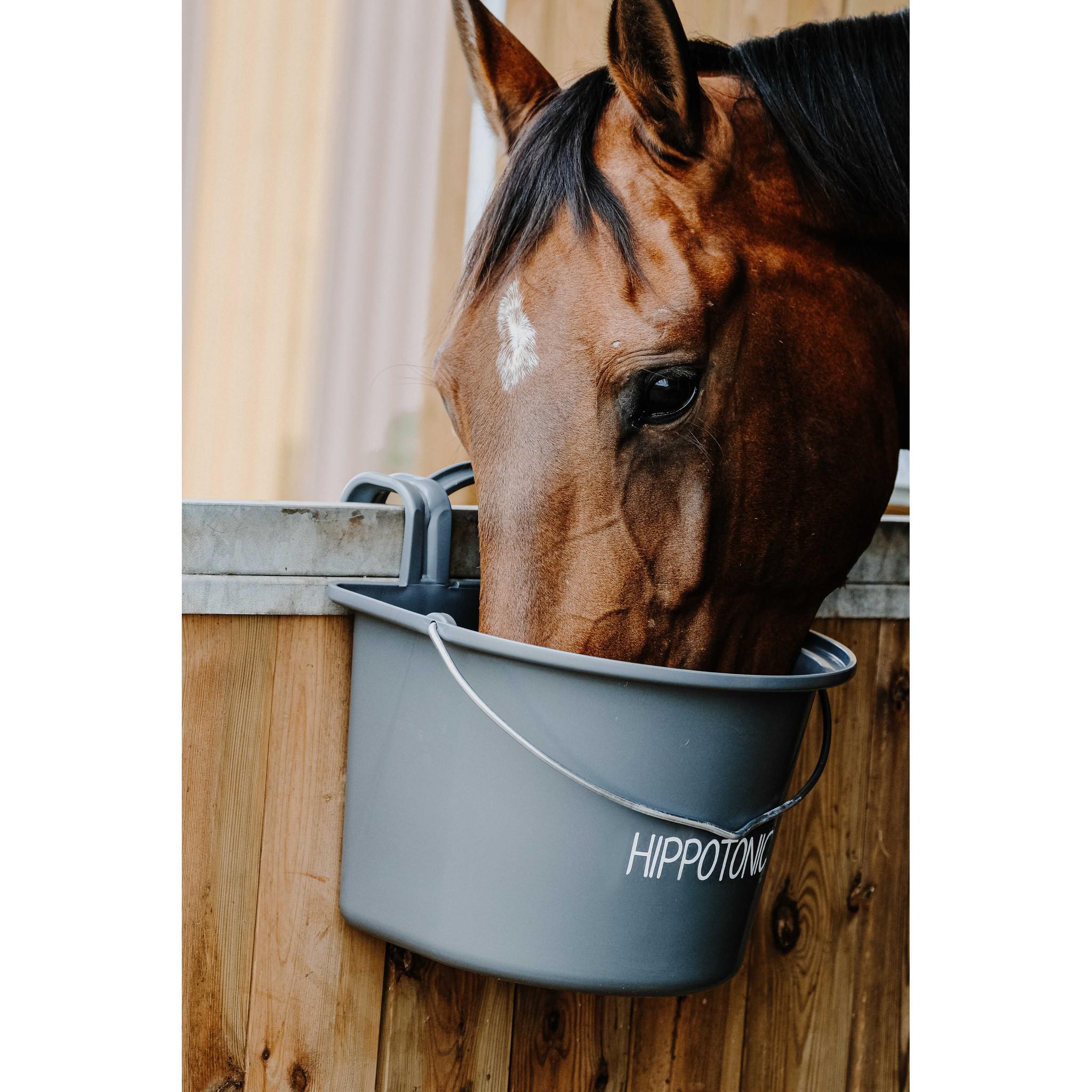 Hippo-Tonic Feeder with Hooks and Handle Dark grey 704199031