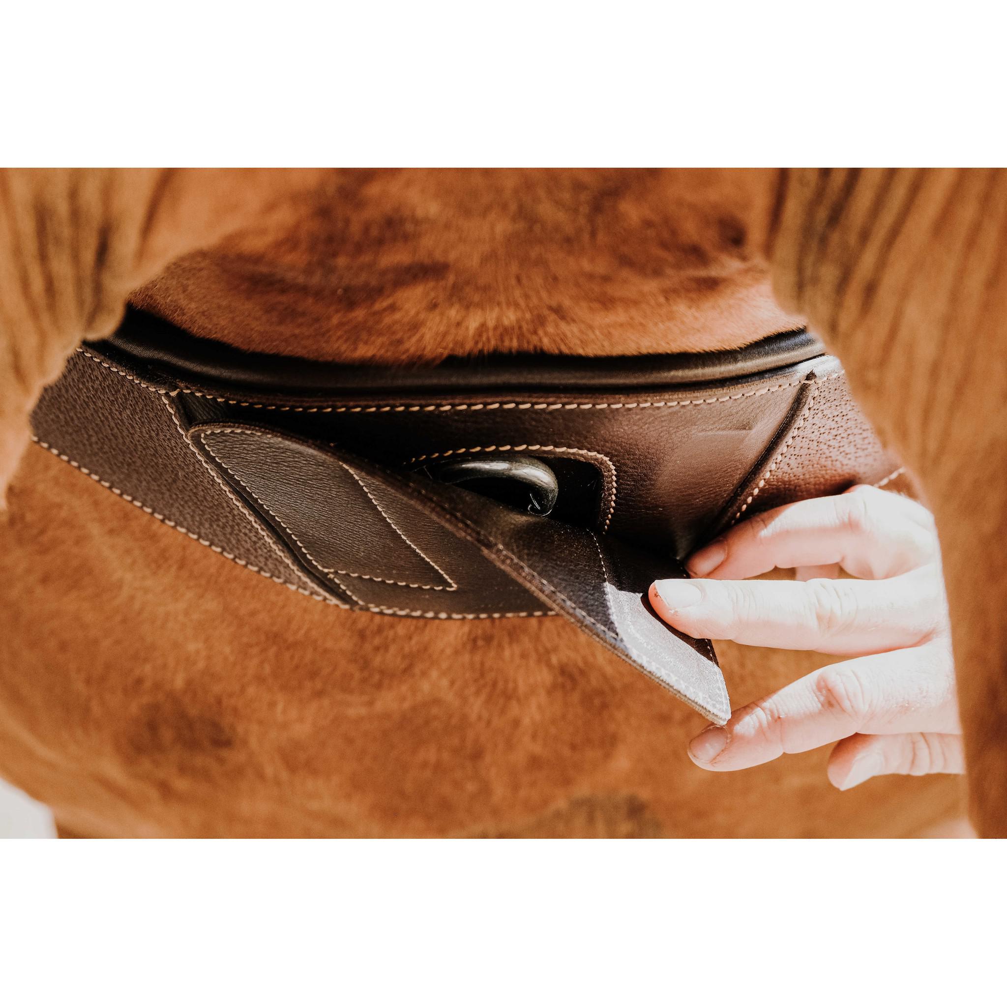 Norton Magnet Anatomical Girth Havana 203147425