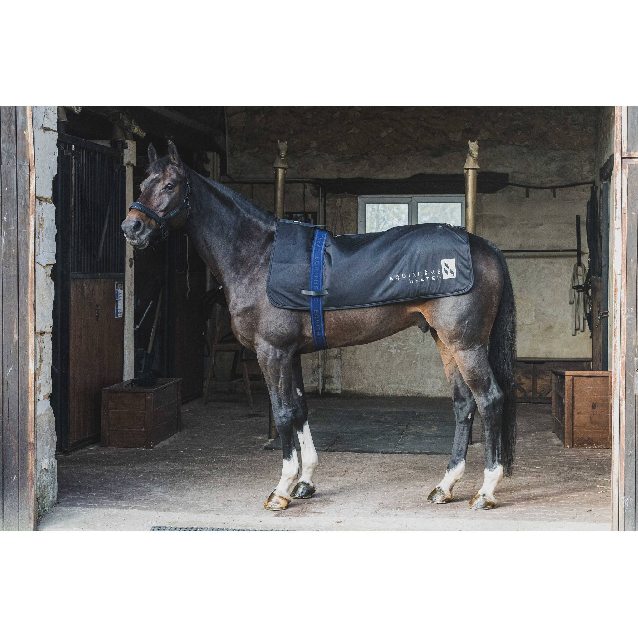 EQUITHÈME Heated Back Cover Black 981500201